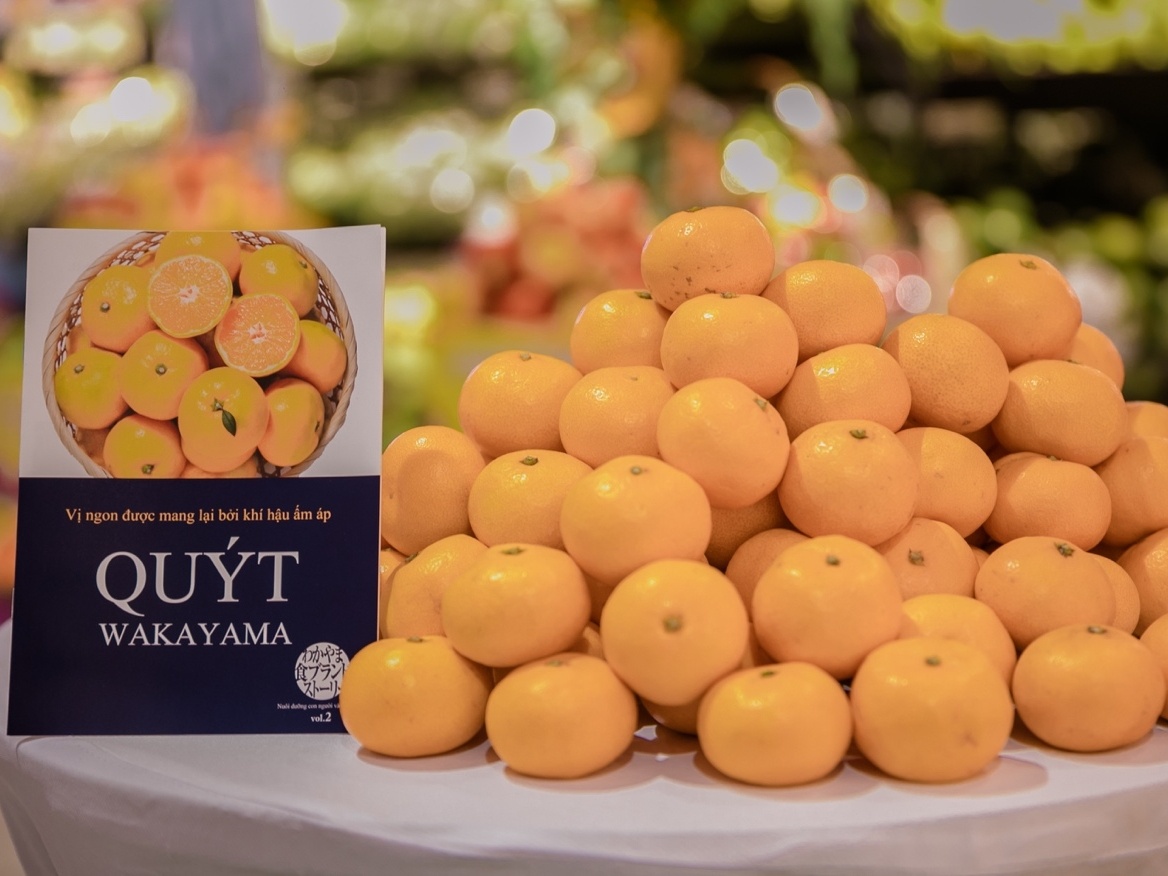 Nguoi tieu dung Viet cho thuong thuc quyt Unshu tu Nhat Ban hinh anh