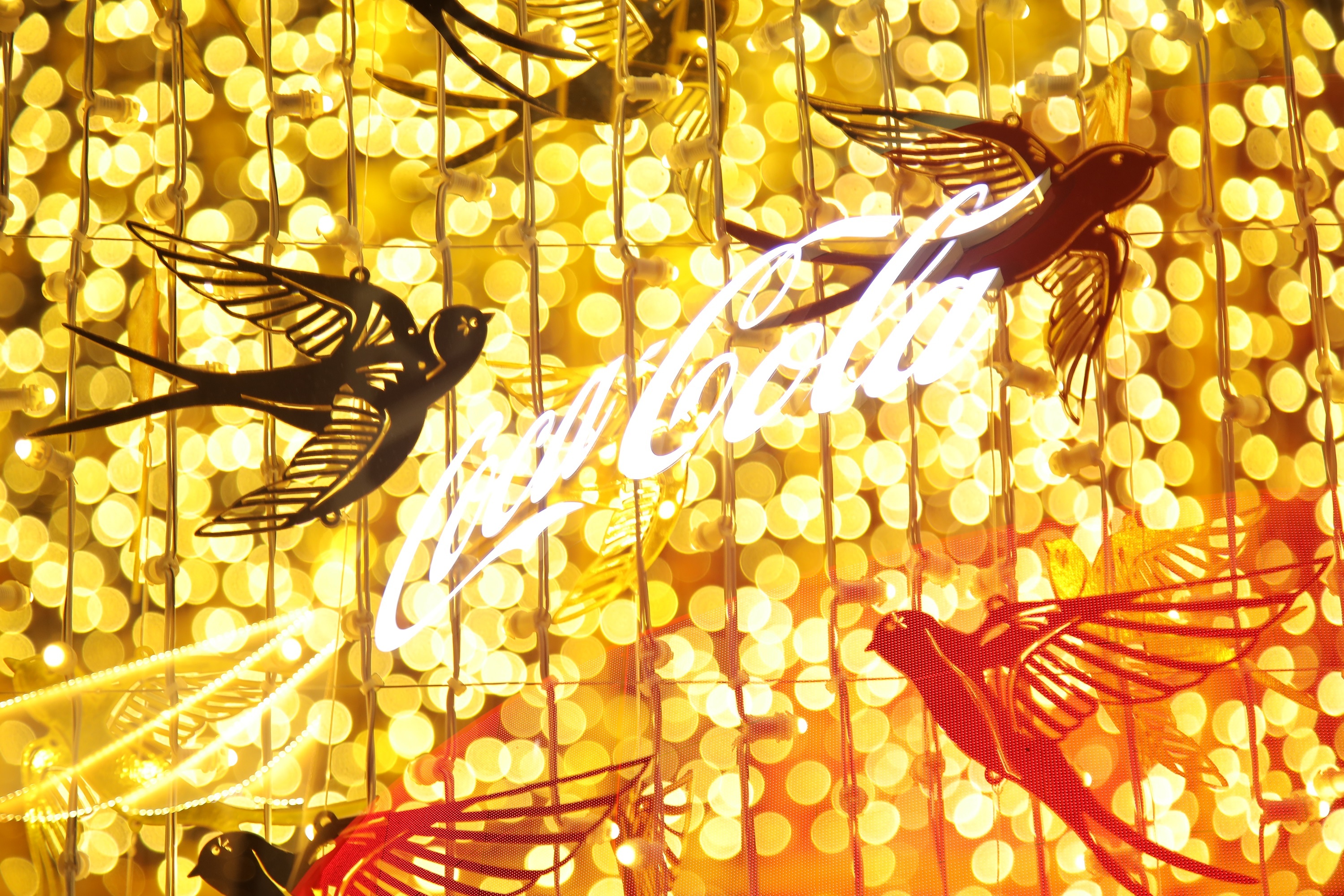 Mang ky dieu ve nha,  doan vien anh 7