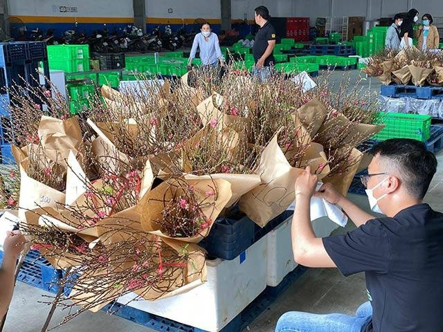 Sendo cam ket giao dao Nhat Tan trong 2 gio hinh anh