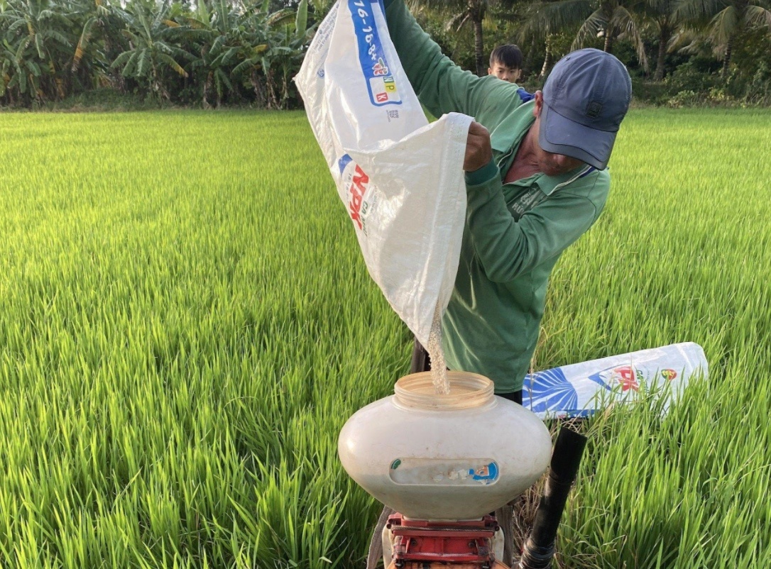 Phan bon NPK Ca Mau - giai phap dinh duong hoan chinh cho cay trong hinh anh