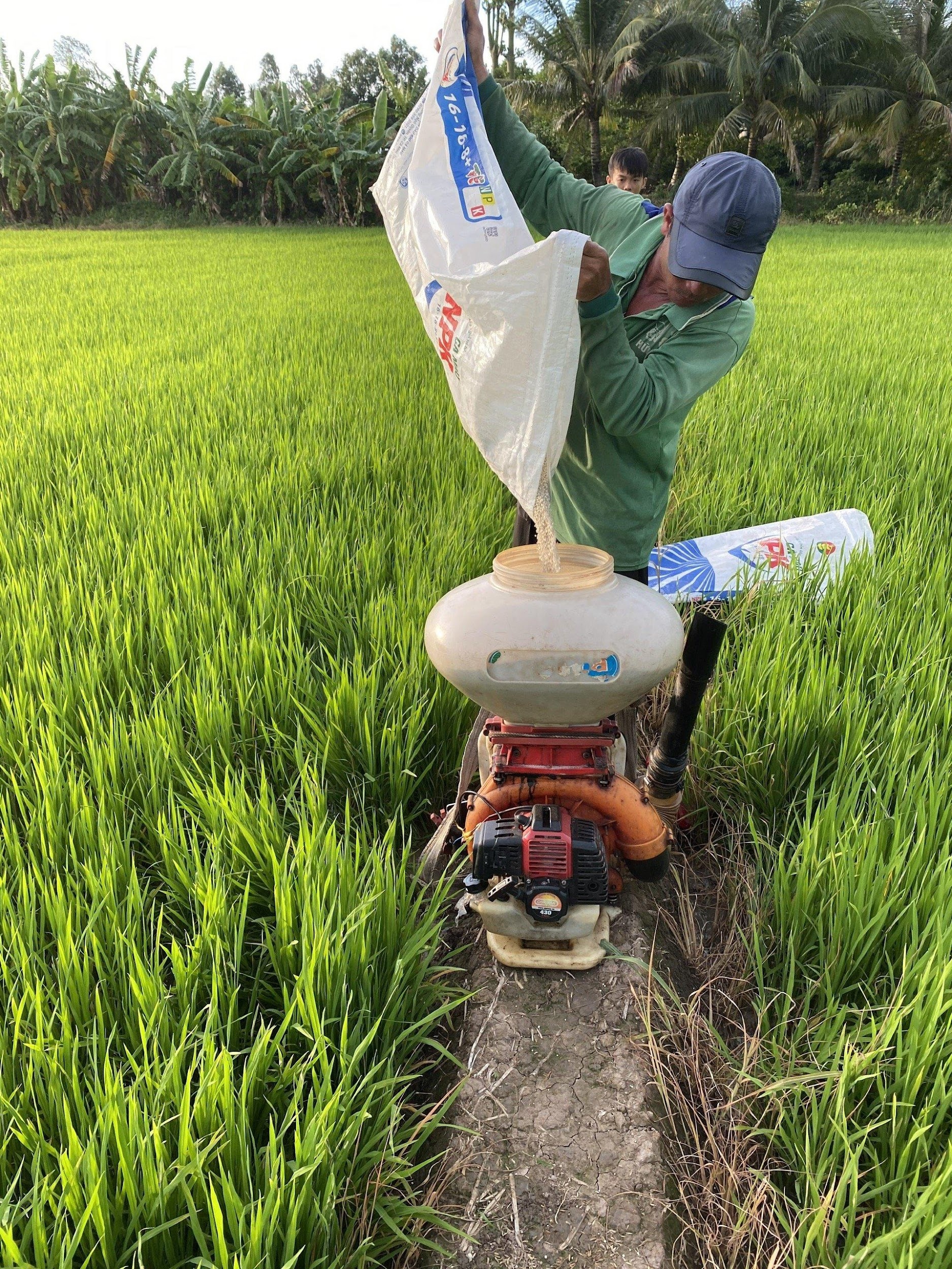 Phan bon NPK Ca Mau anh 1