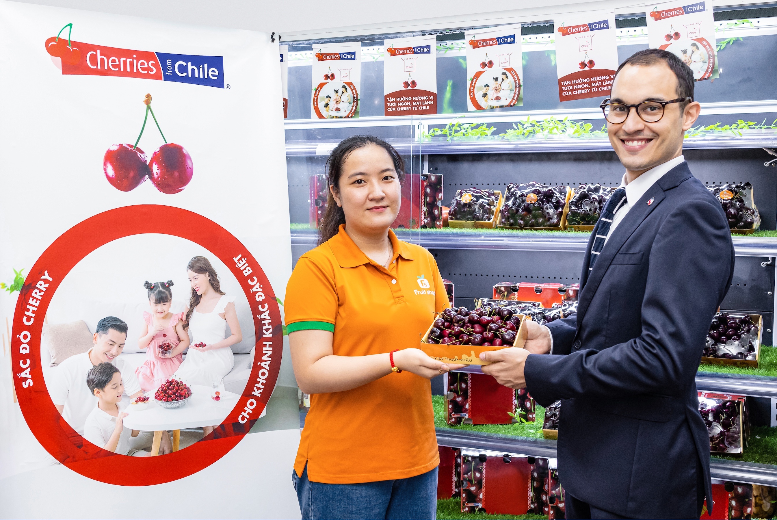 mua cherry Chile ảnh 3 mua cherry Chile anh 3