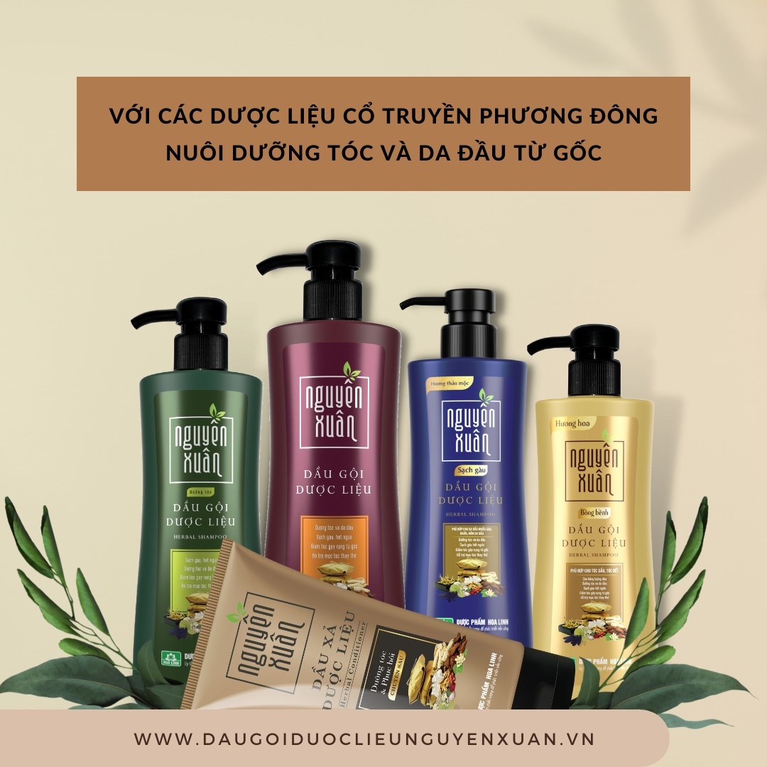 Dau goi duoc lieu Nguyen Xuan anh 4