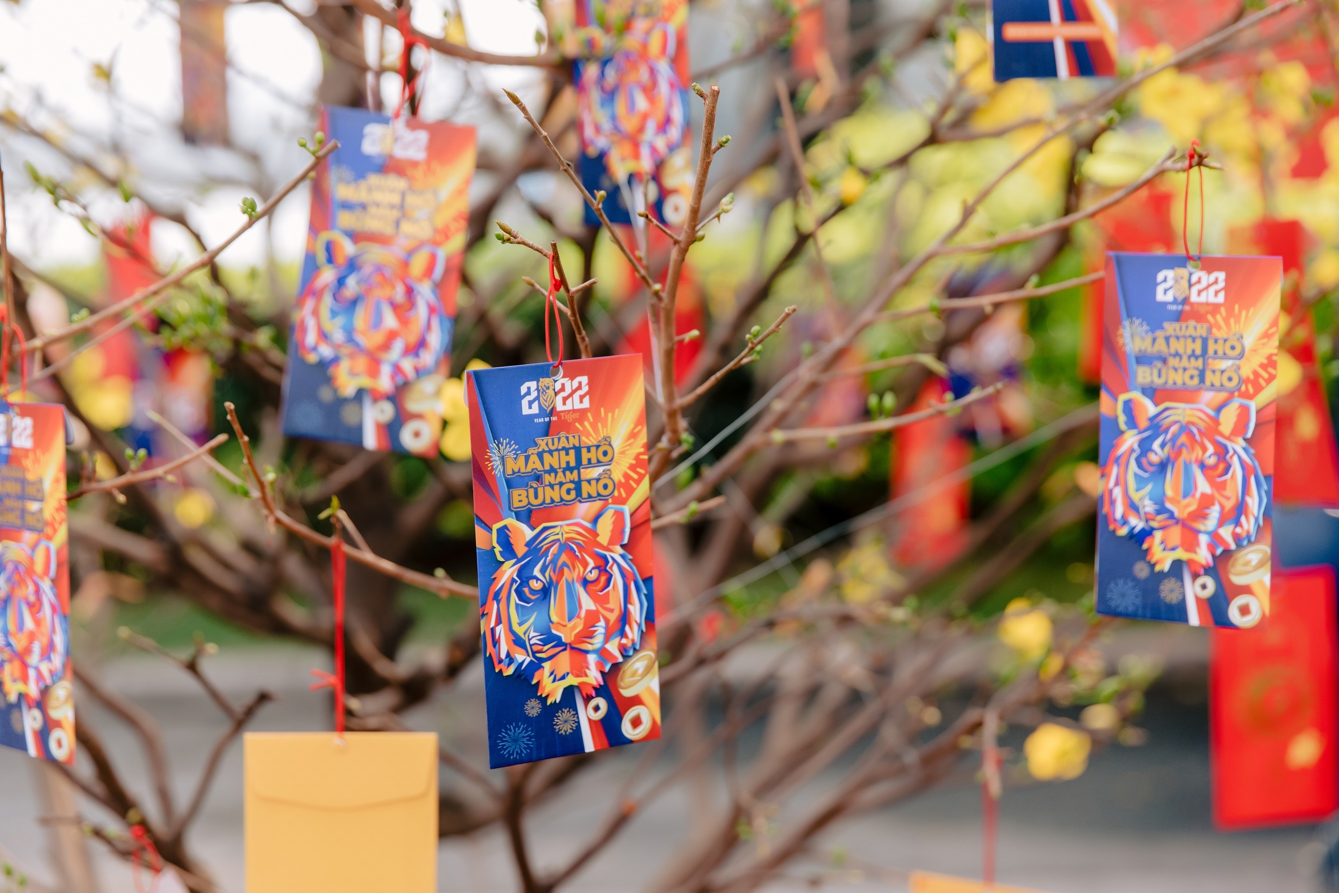 Le hoi hoa xuan Phu My Hung anh 10