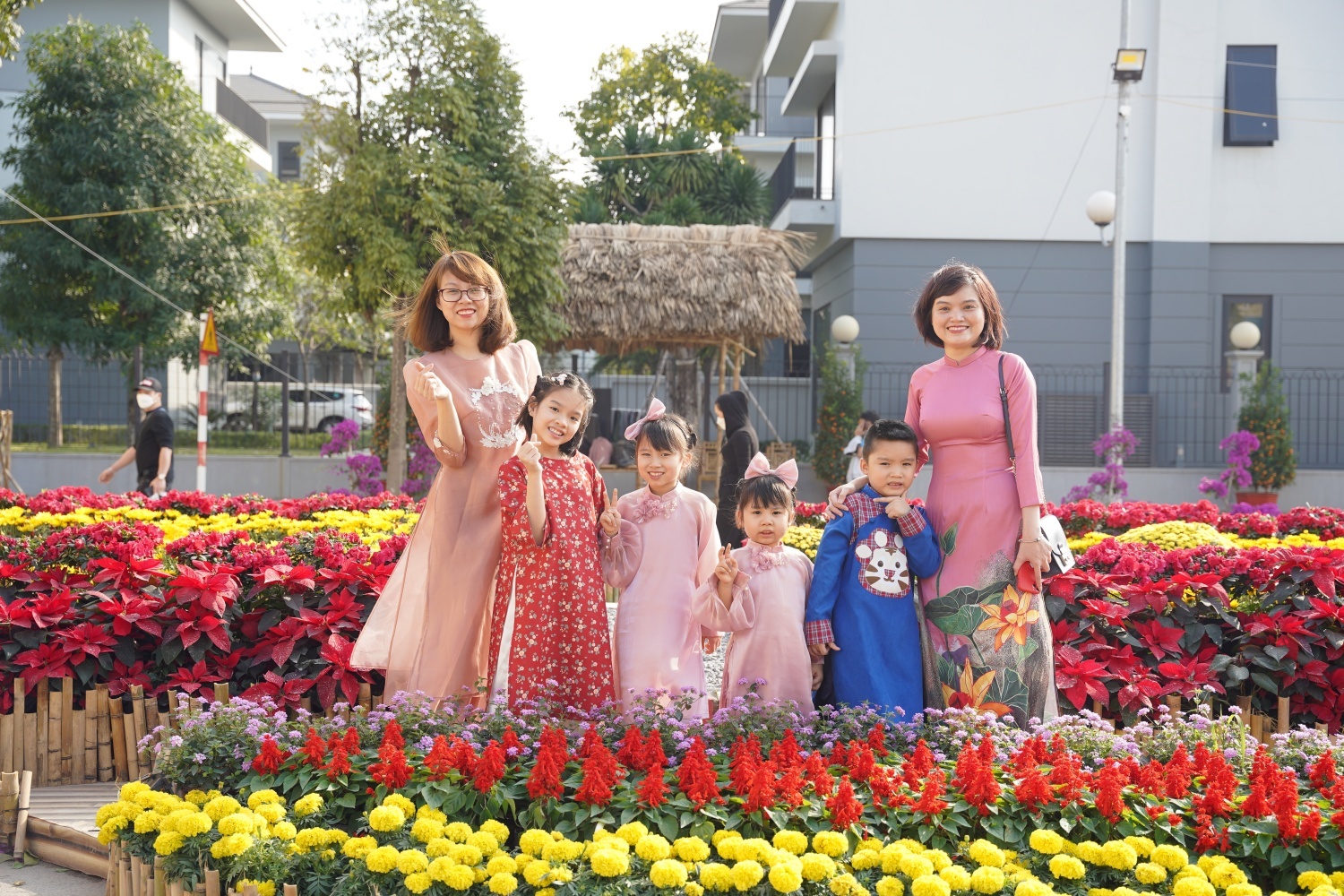 Home Hanoi Xuan 2022, Phú Long ảnh 6 Home Hanoi Xuan 2022, Phu Long anh 6