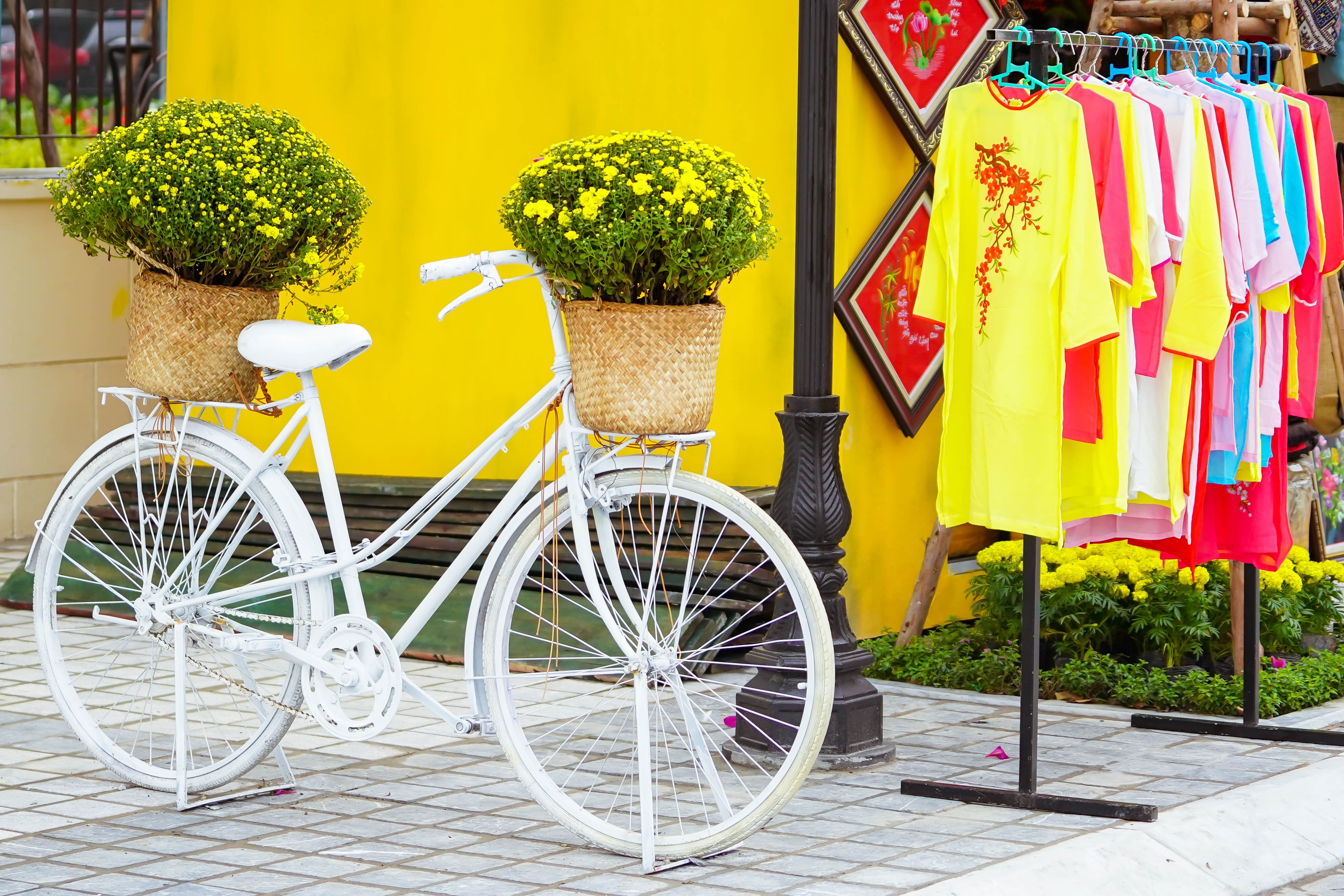 Home Hanoi Xuan 2022, Phú Long ảnh 5 Home Hanoi Xuan 2022, Phu Long anh 5