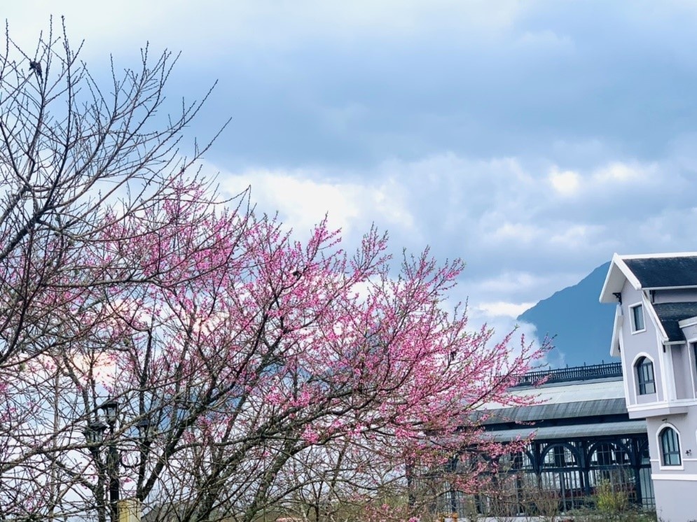 Sun World Fansipan Legend,  Sapa anh 1