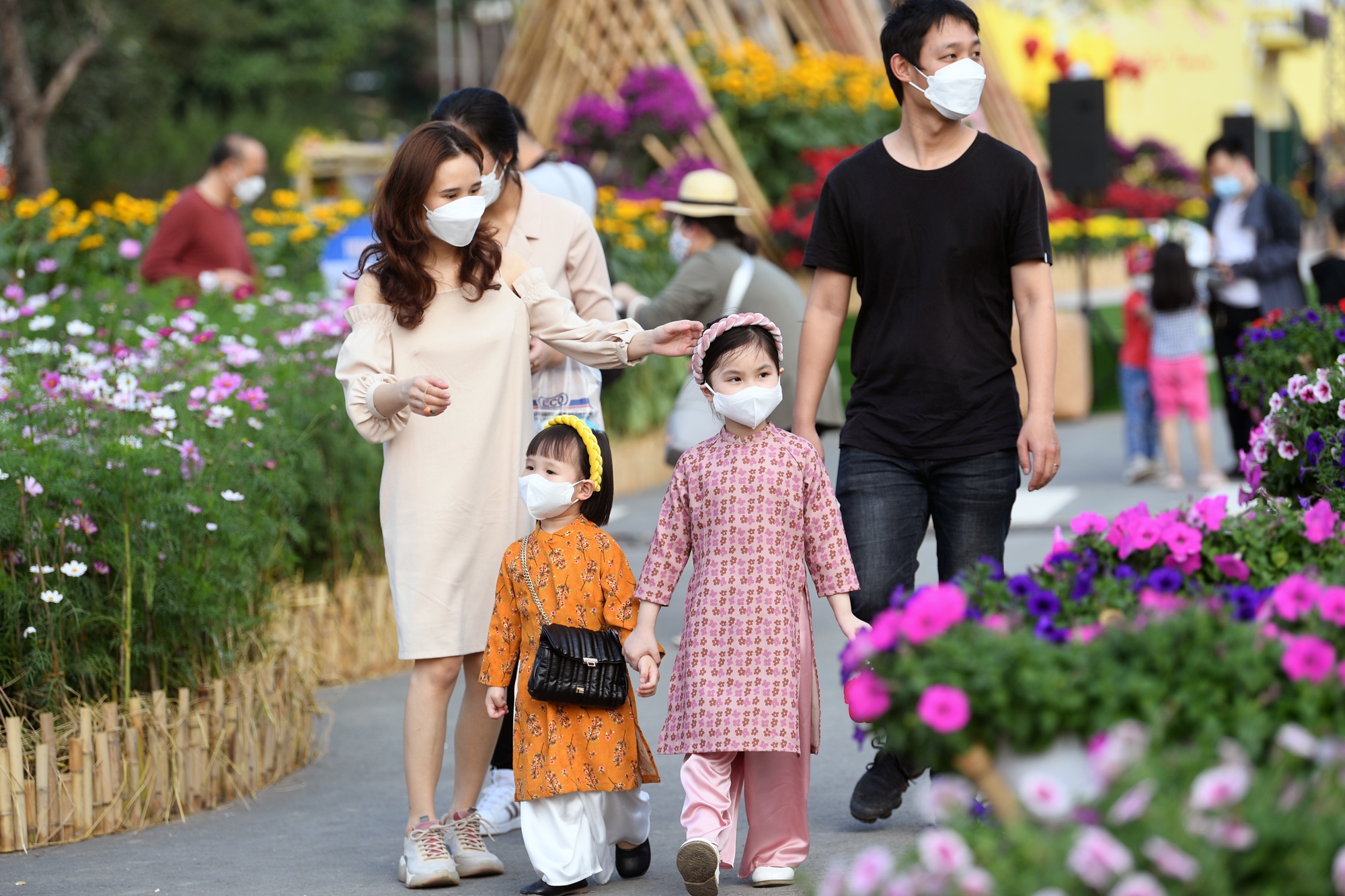 Hon 70.000 luot du khach check-in duong hoa, pho di bo tai Ha Noi hinh anh