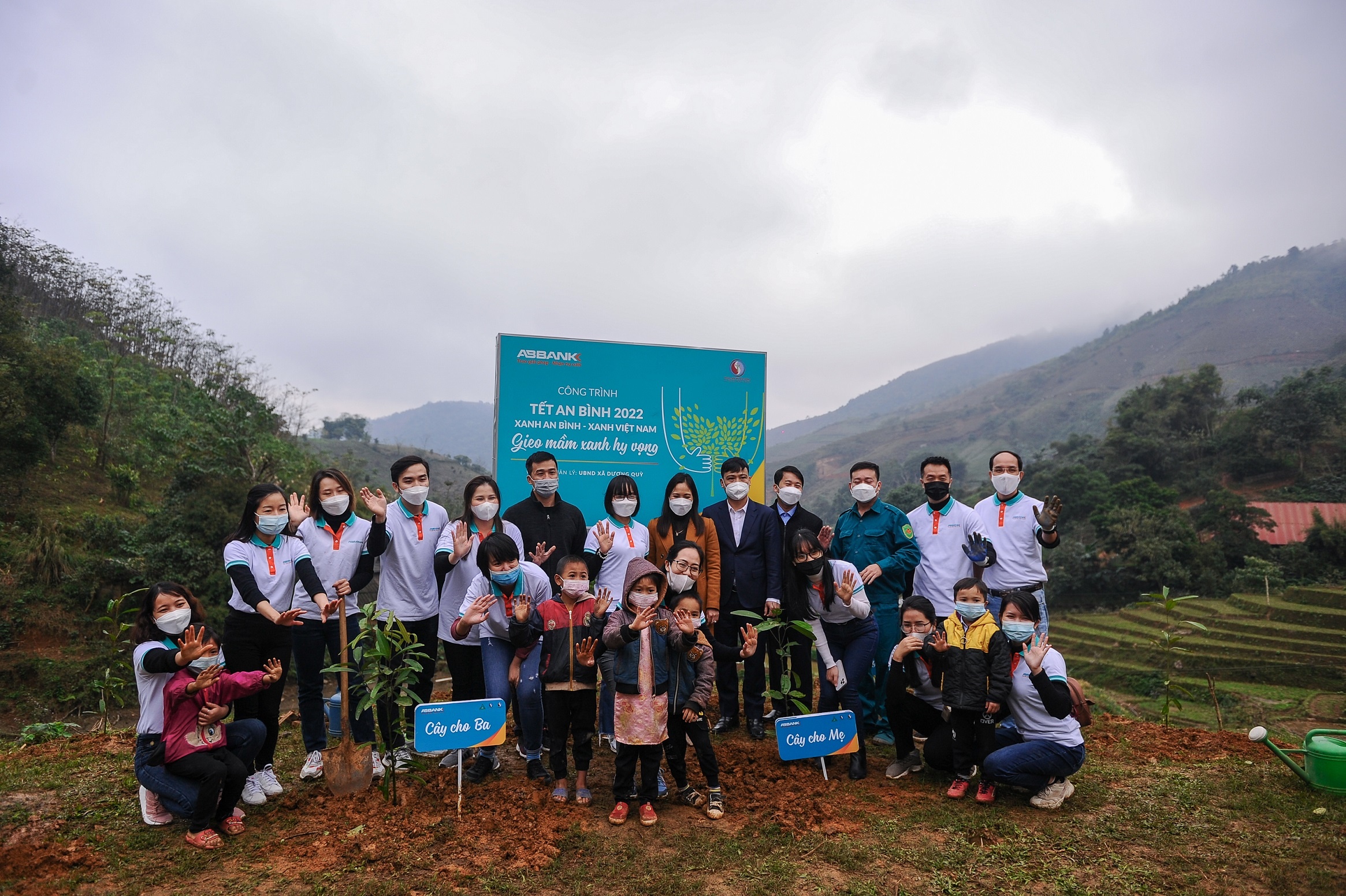 trong cay,  Lao Cai anh 1