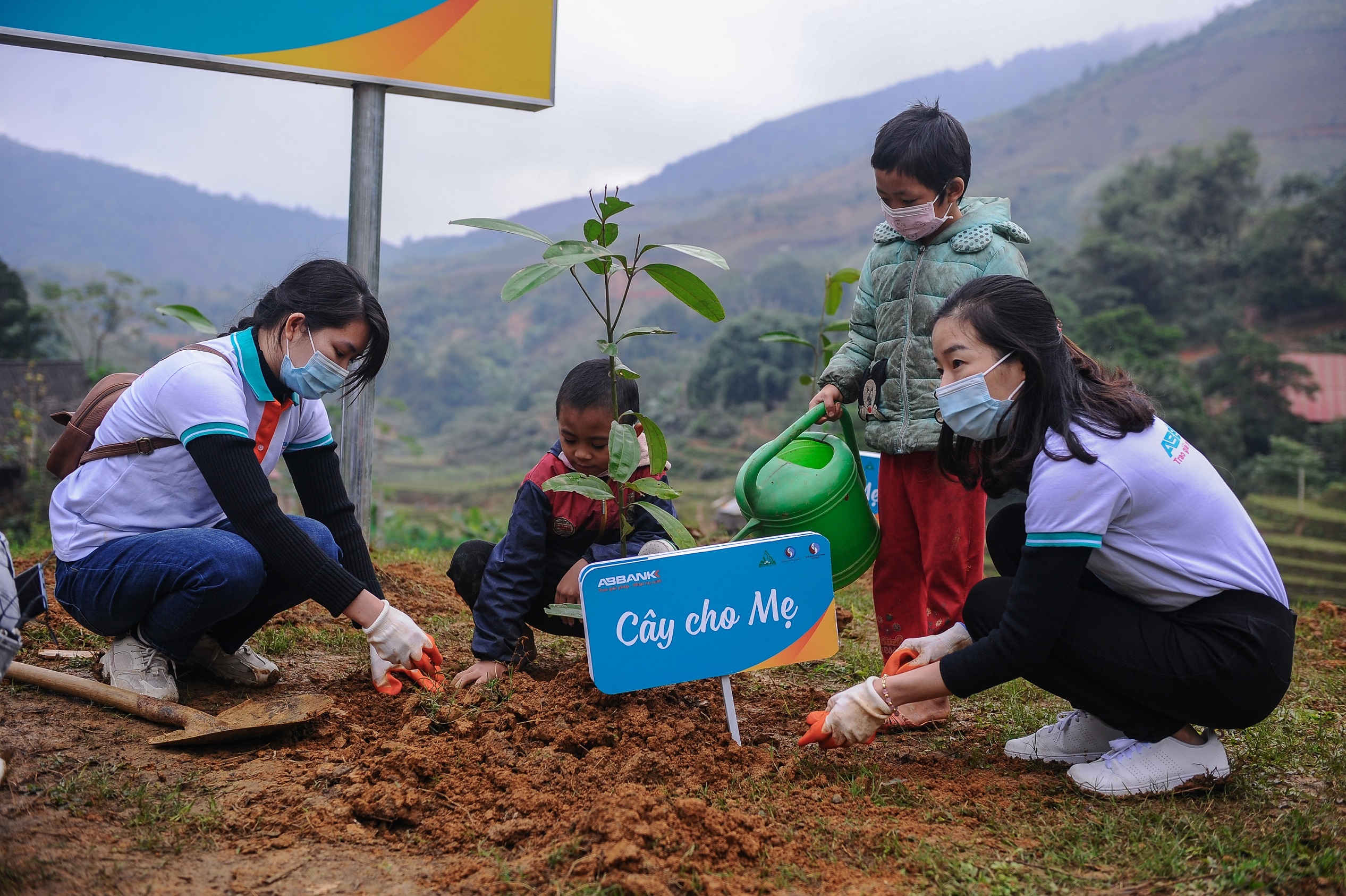 Hanh trinh uom mam xanh tai Lao Cai hinh anh