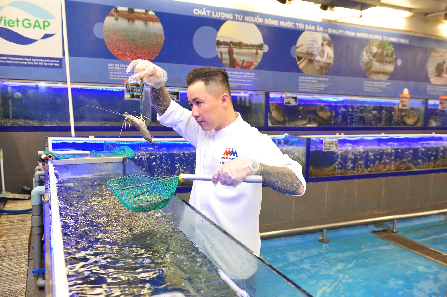 thuc pham tuoi sach,  mon ngon anh 2