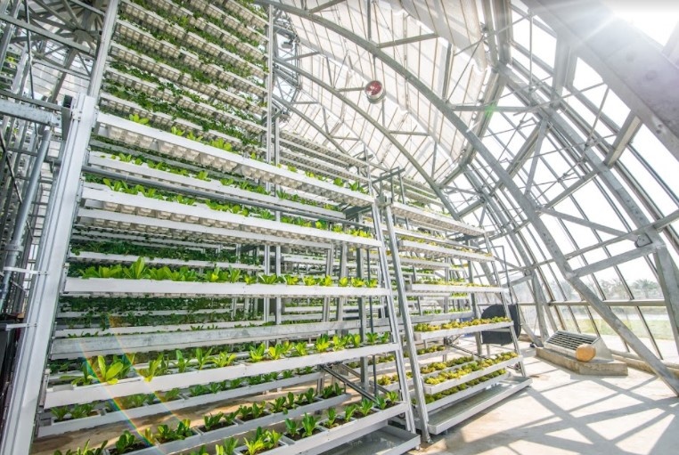 Rau cu qua sach WinEco anh 3