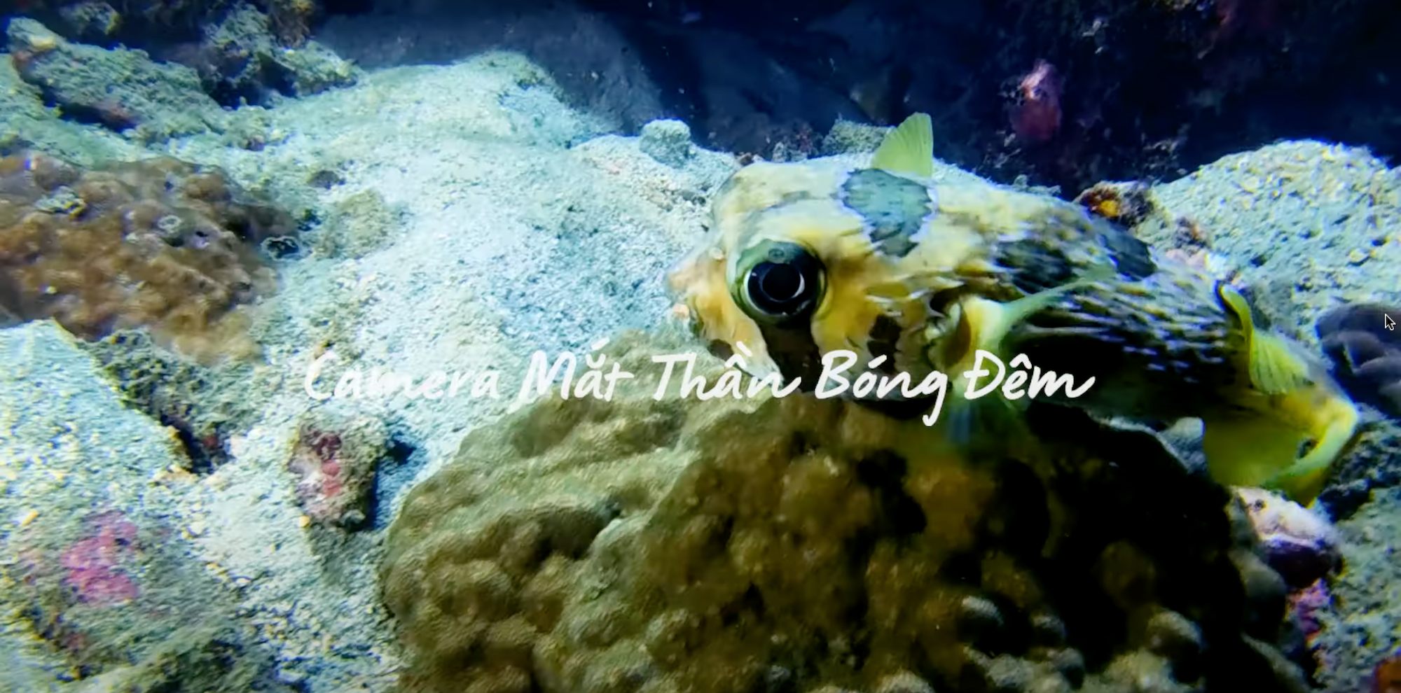 dat truoc S22,  gia S22 anh 7