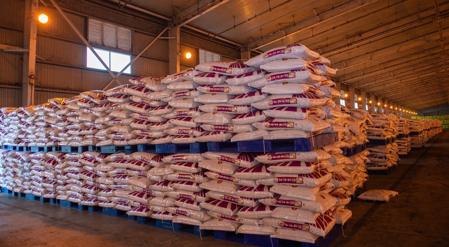 Phan bon Ca Mau anh 1