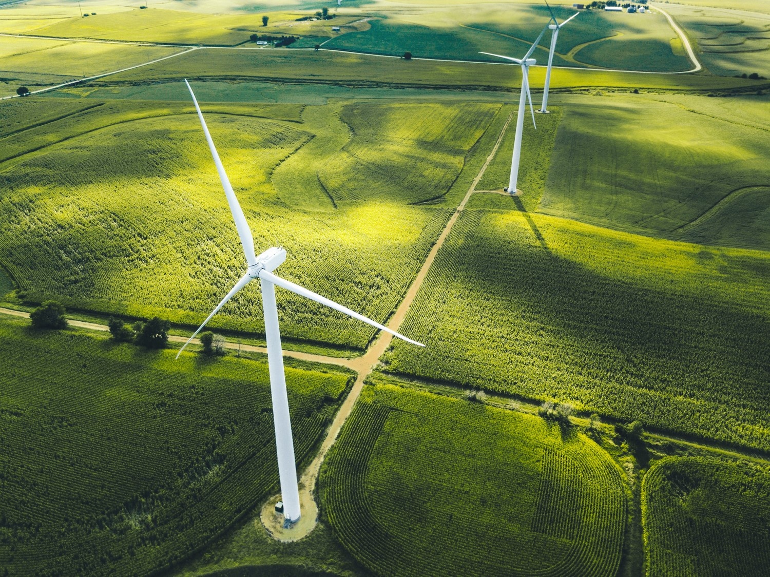 Infineon Technologies AG anh 2