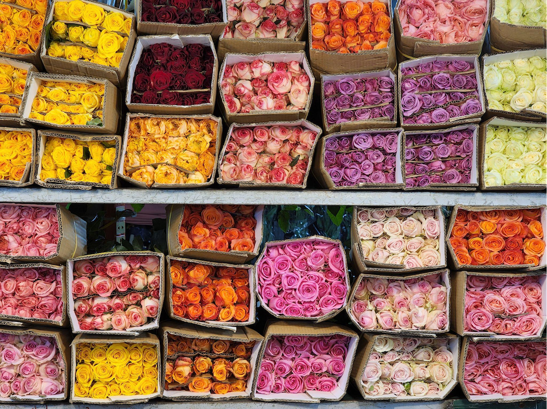 chụp ảnh đêm với S22 ảnh 3 chup anh dem voi S22 anh 3