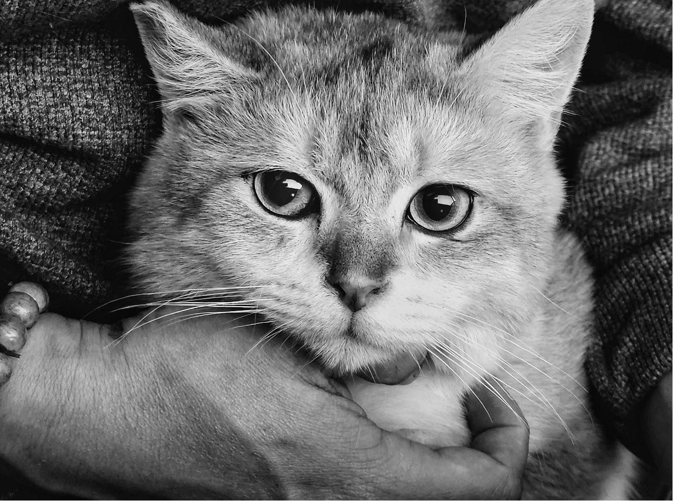 chụp ảnh đêm với S22 ảnh 4 chup anh dem voi S22 anh 4