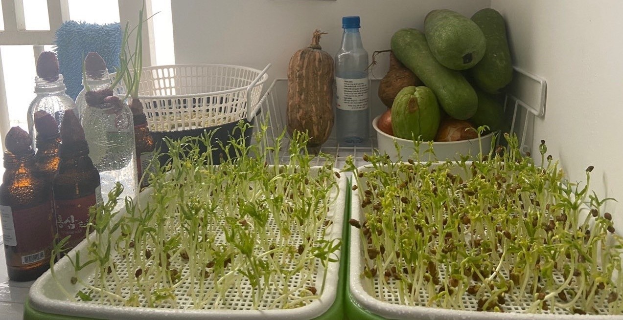 Lazada,  sinh nhat 10 nam anh 1