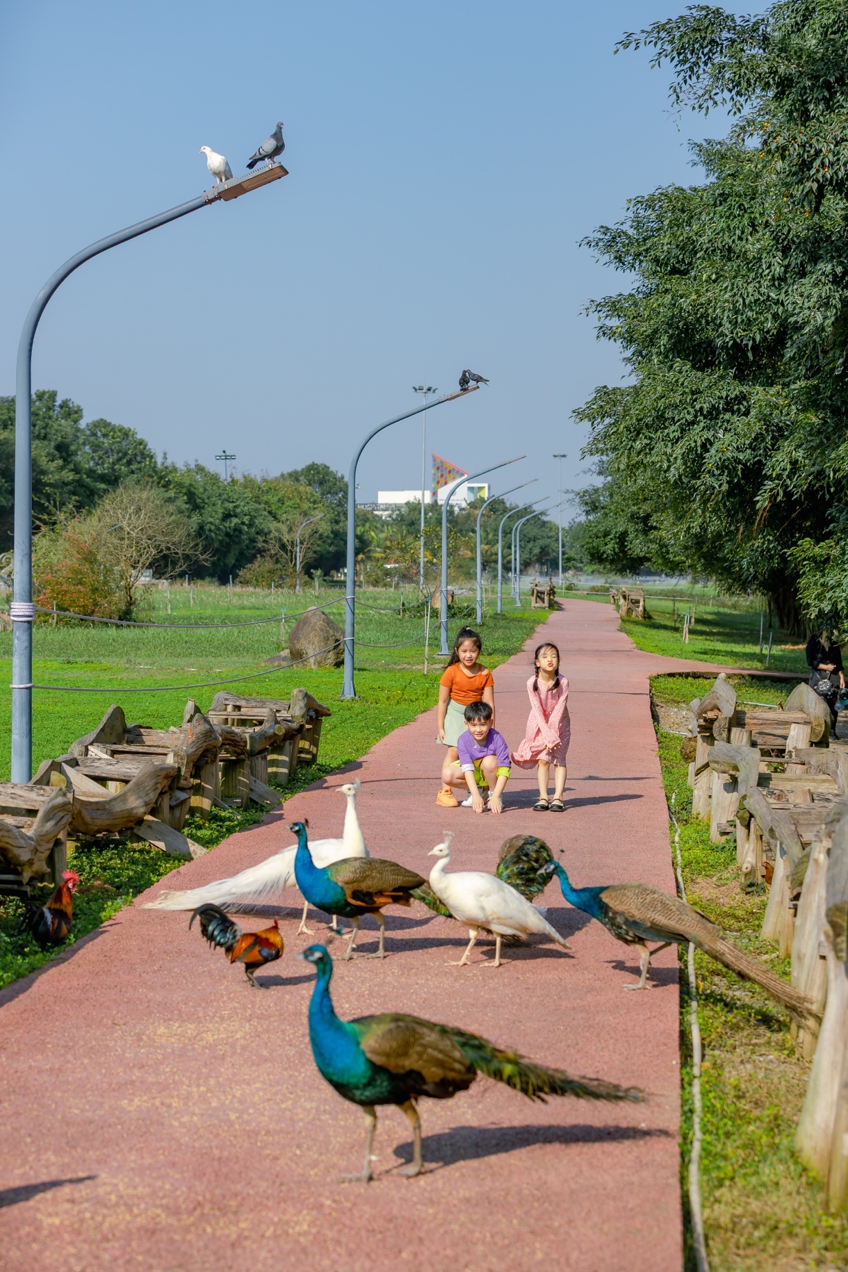 Ecopark anh 2