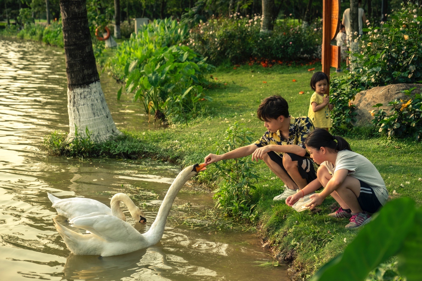 Ecopark anh 7