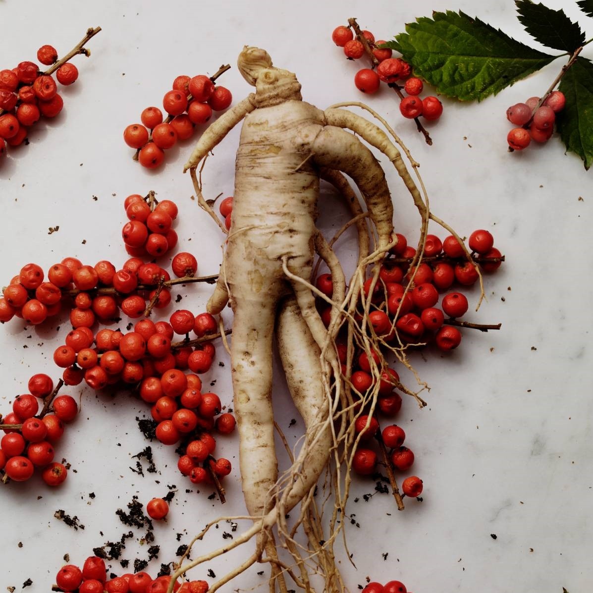 Shiseido ảnh 3 Shiseido anh 3