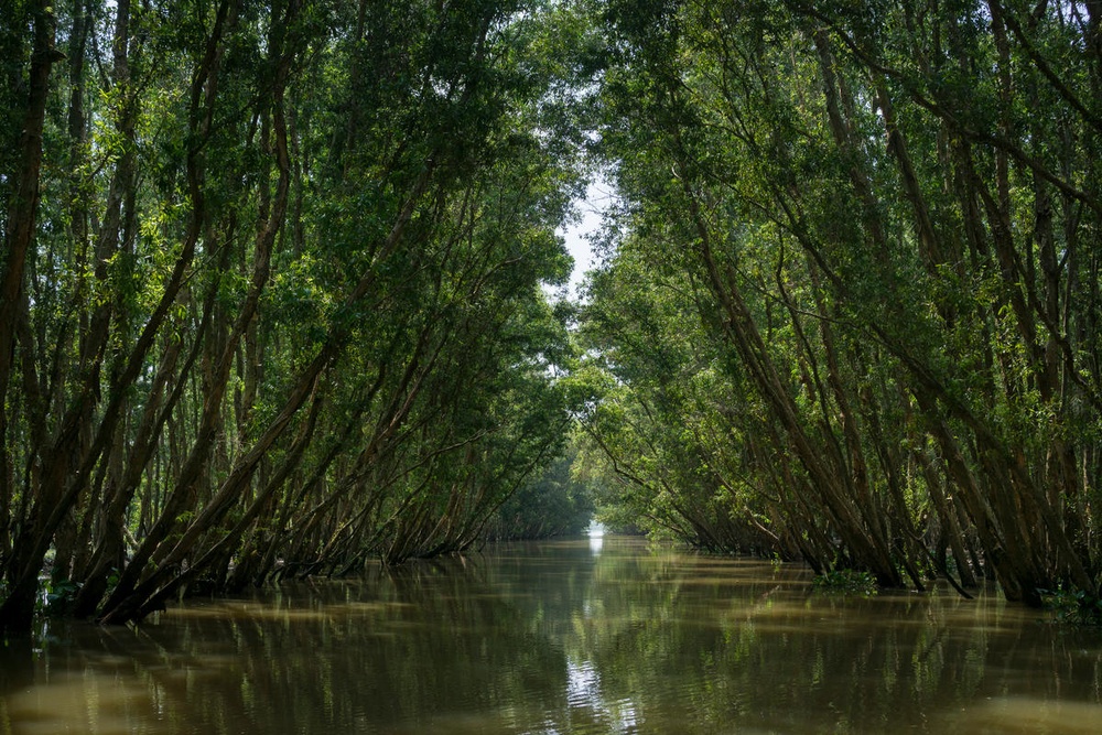 Quy Coca-Cola tiep tuc ho tro bao ton tai nguyen nuoc ngot Viet Nam hinh anh
