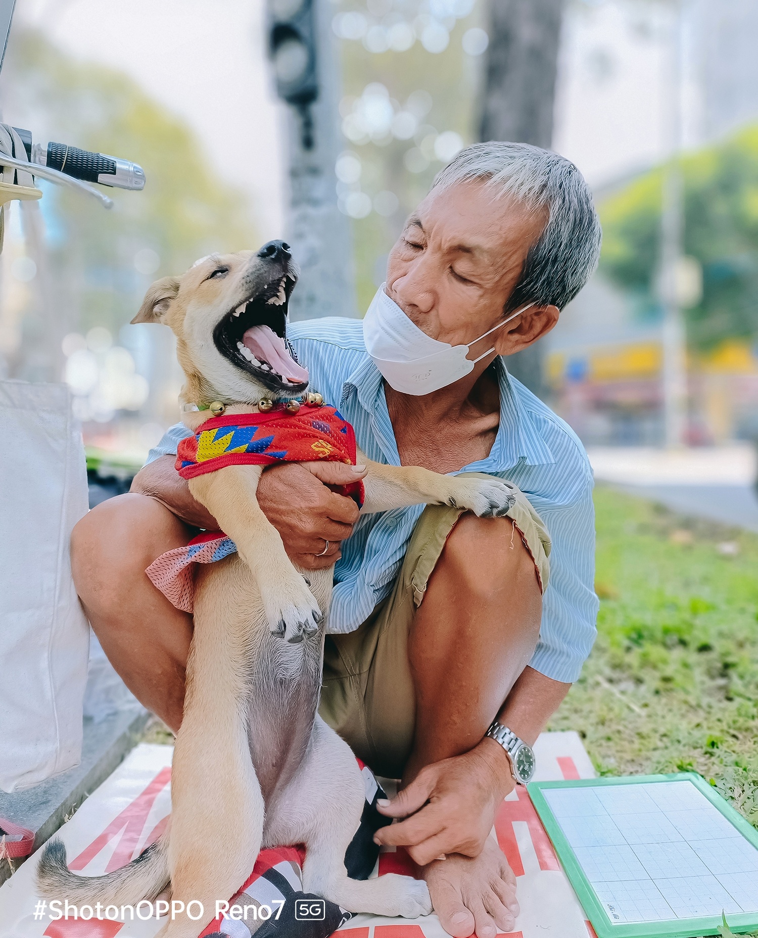 Oppo ảnh 3 Oppo anh 3