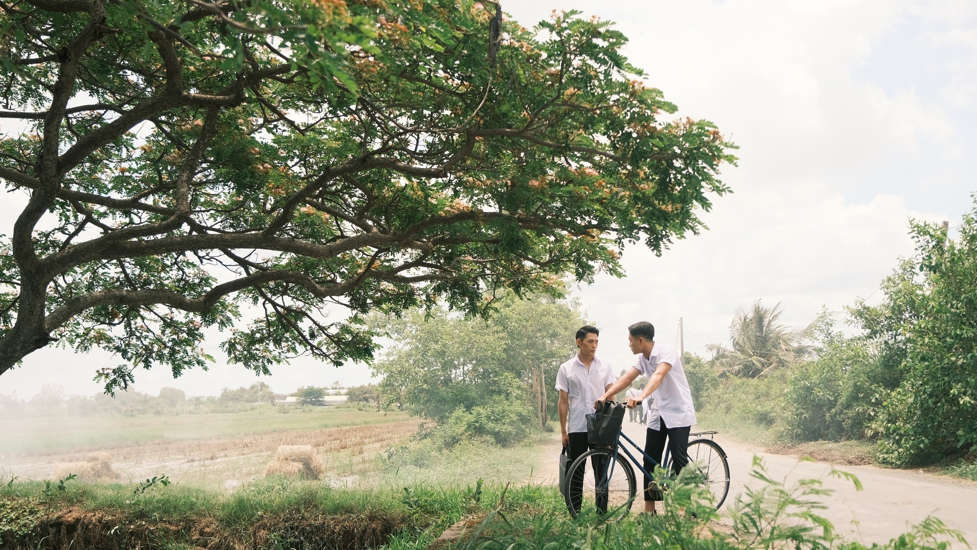 Mến gái miền Tây ảnh 2 Men gai mien Tay anh 2