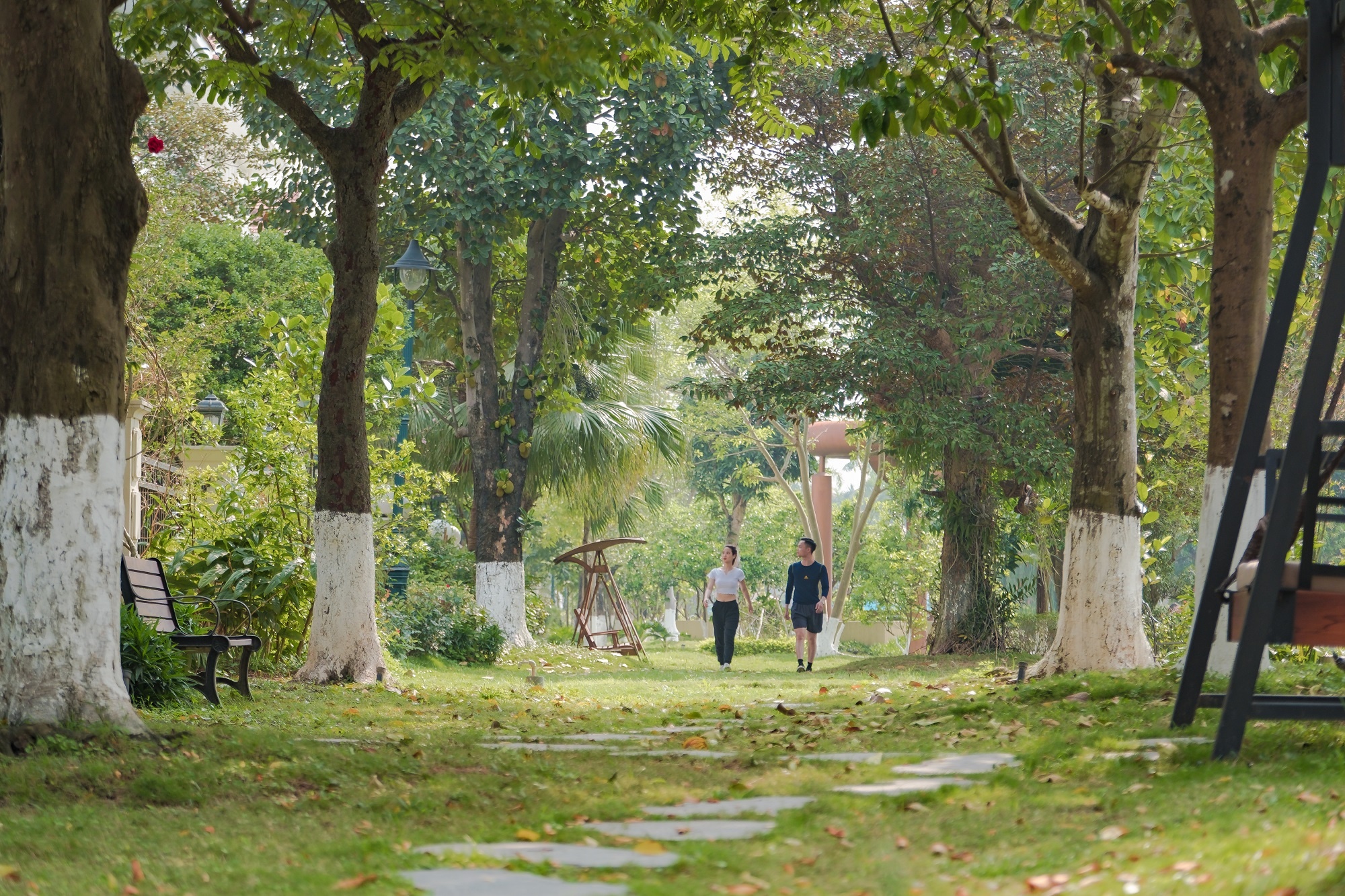 Essensia, Splendora Bắc An Khánh ảnh 5 Essensia, Splendora Bac An Khanh anh 5