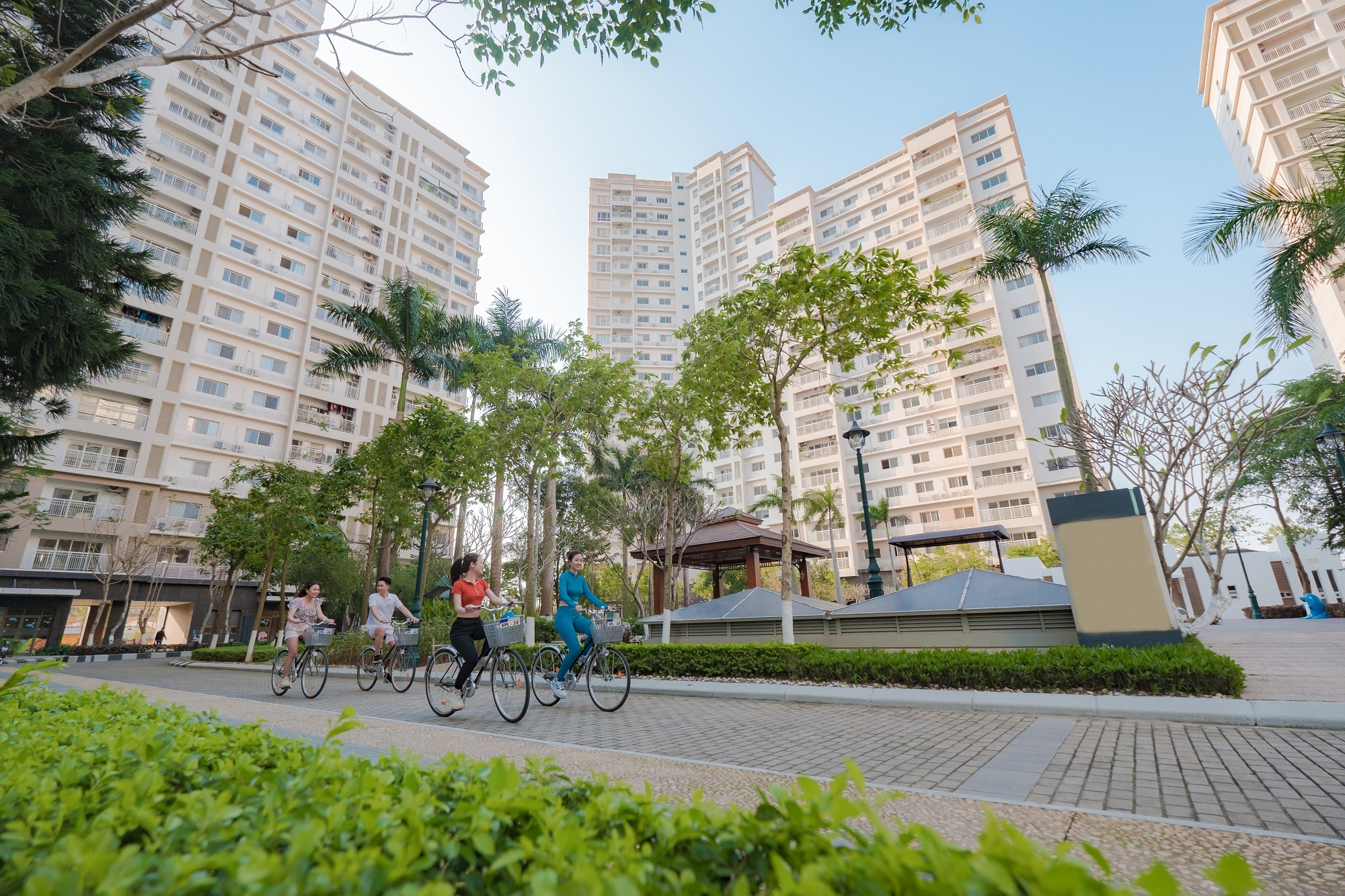 Essensia, Splendora Bắc An Khánh ảnh 4 Essensia, Splendora Bac An Khanh anh 4