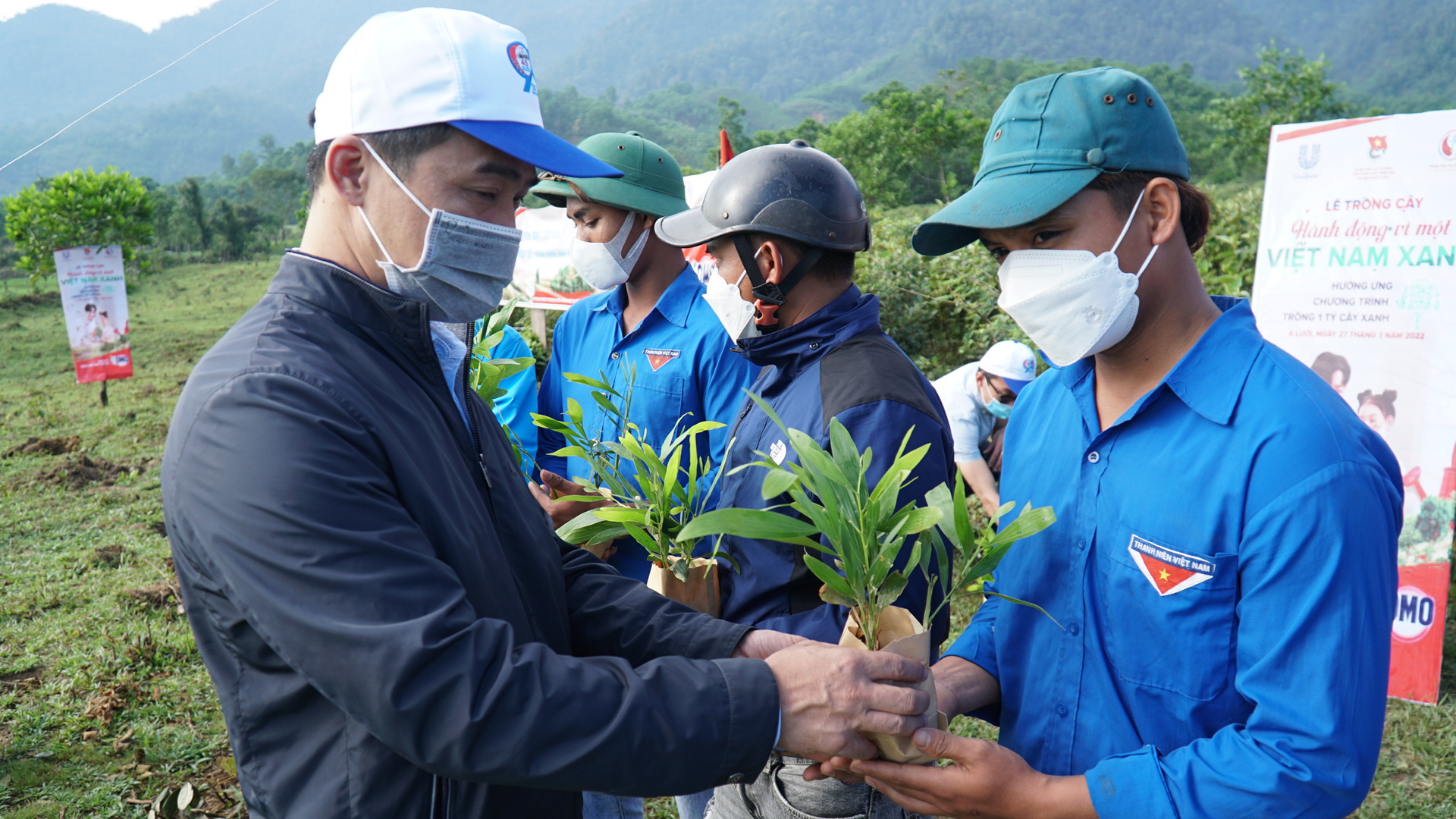 Them 70.000 cay duoc trong moi vi 'man chan xanh' Viet Nam hinh anh