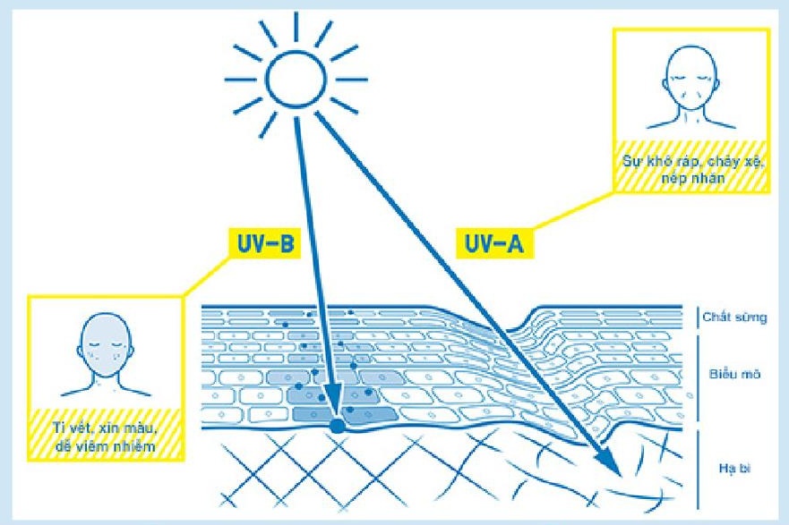 Ao chong tia UV anh 1