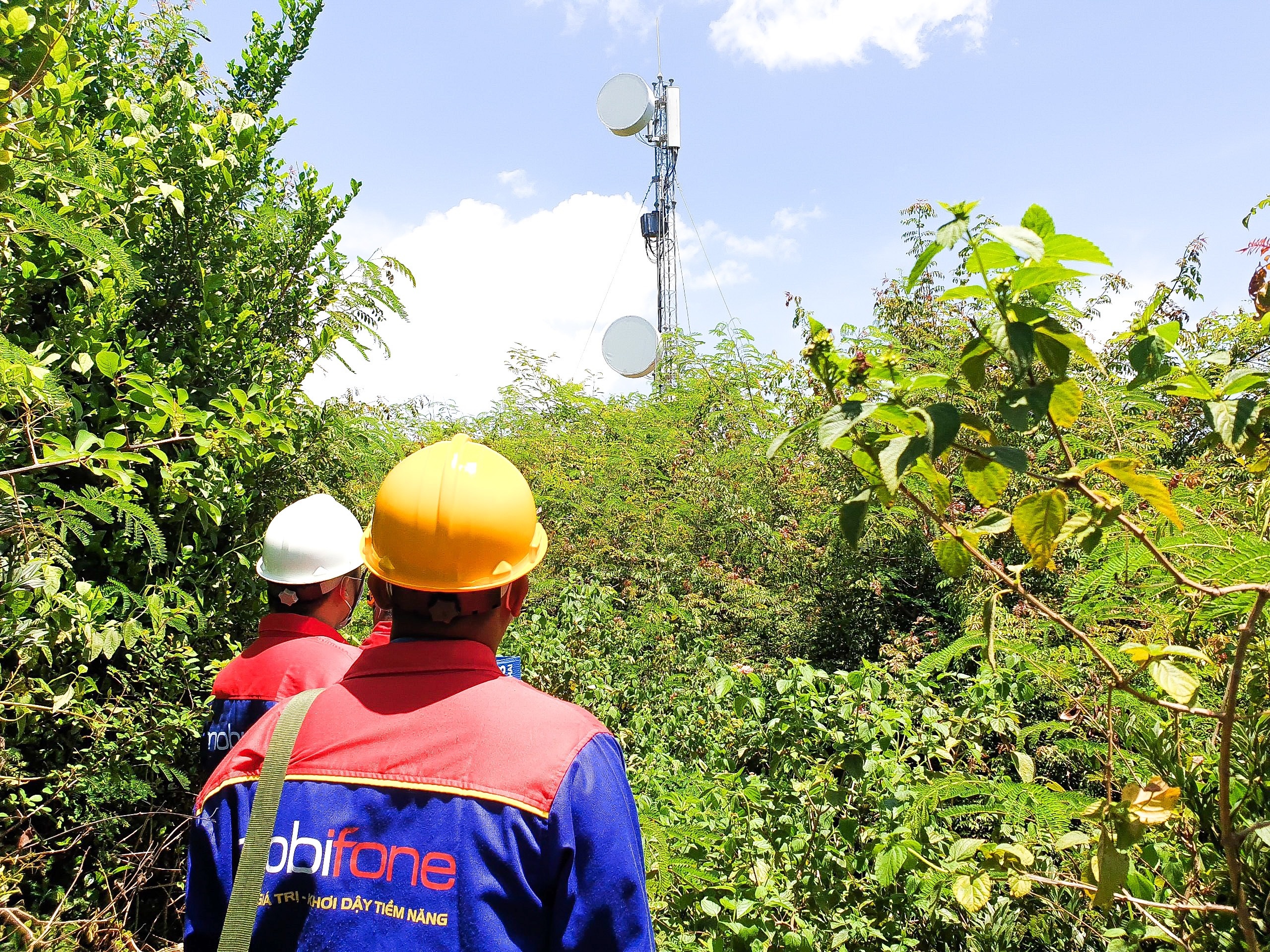 Cong ty vien thong,  MobiFone anh 3