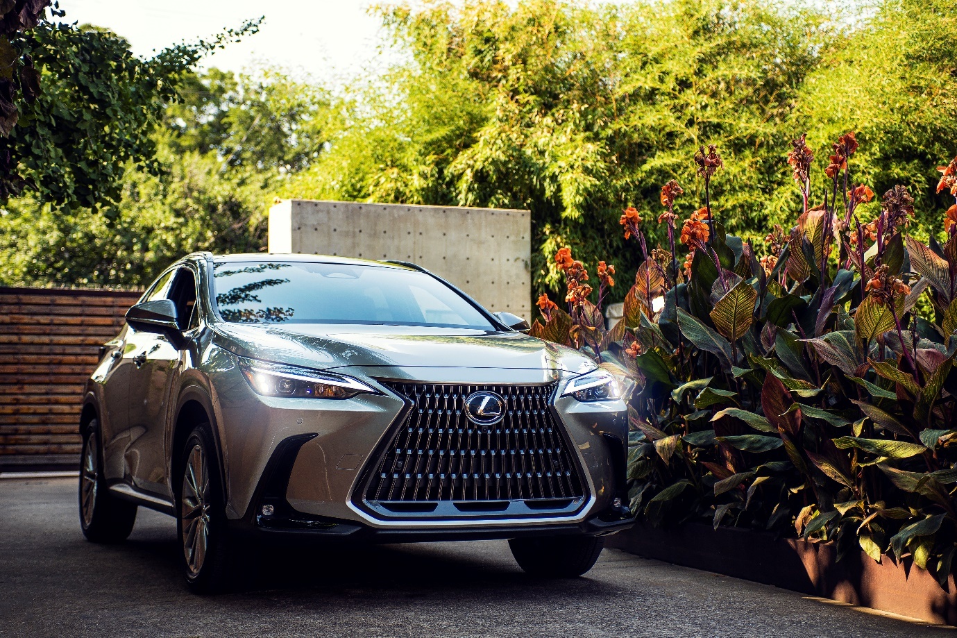 Lexus NX,  Toyota ảnh 1 Lexus NX,  Toyota anh 1