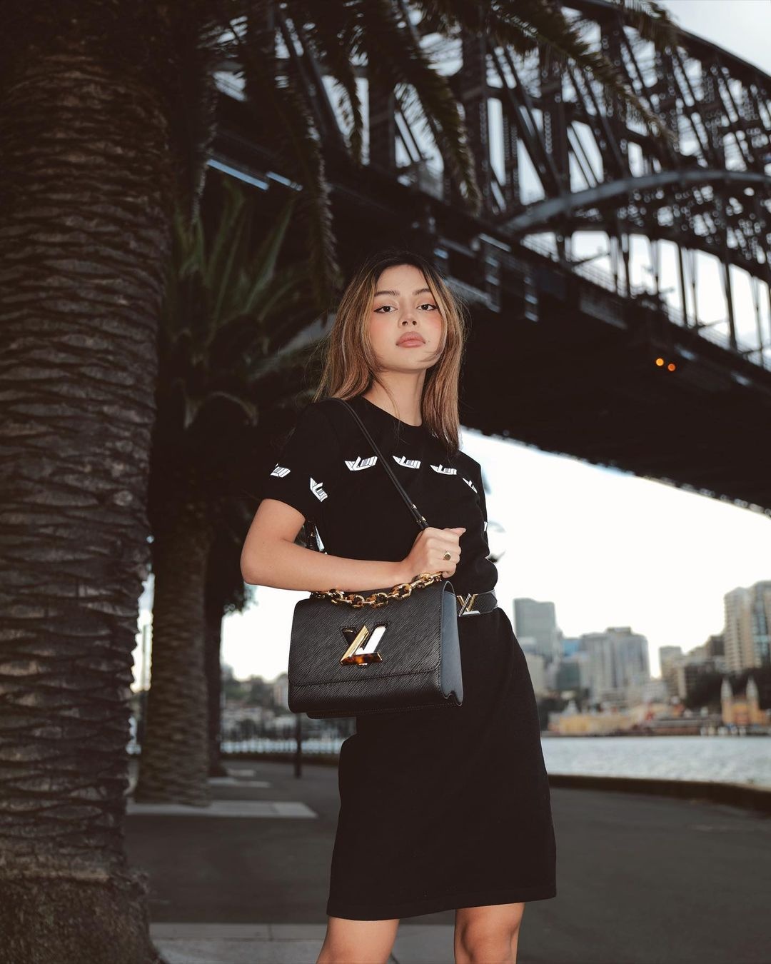 LV Twist ảnh 4 LV Twist anh 4