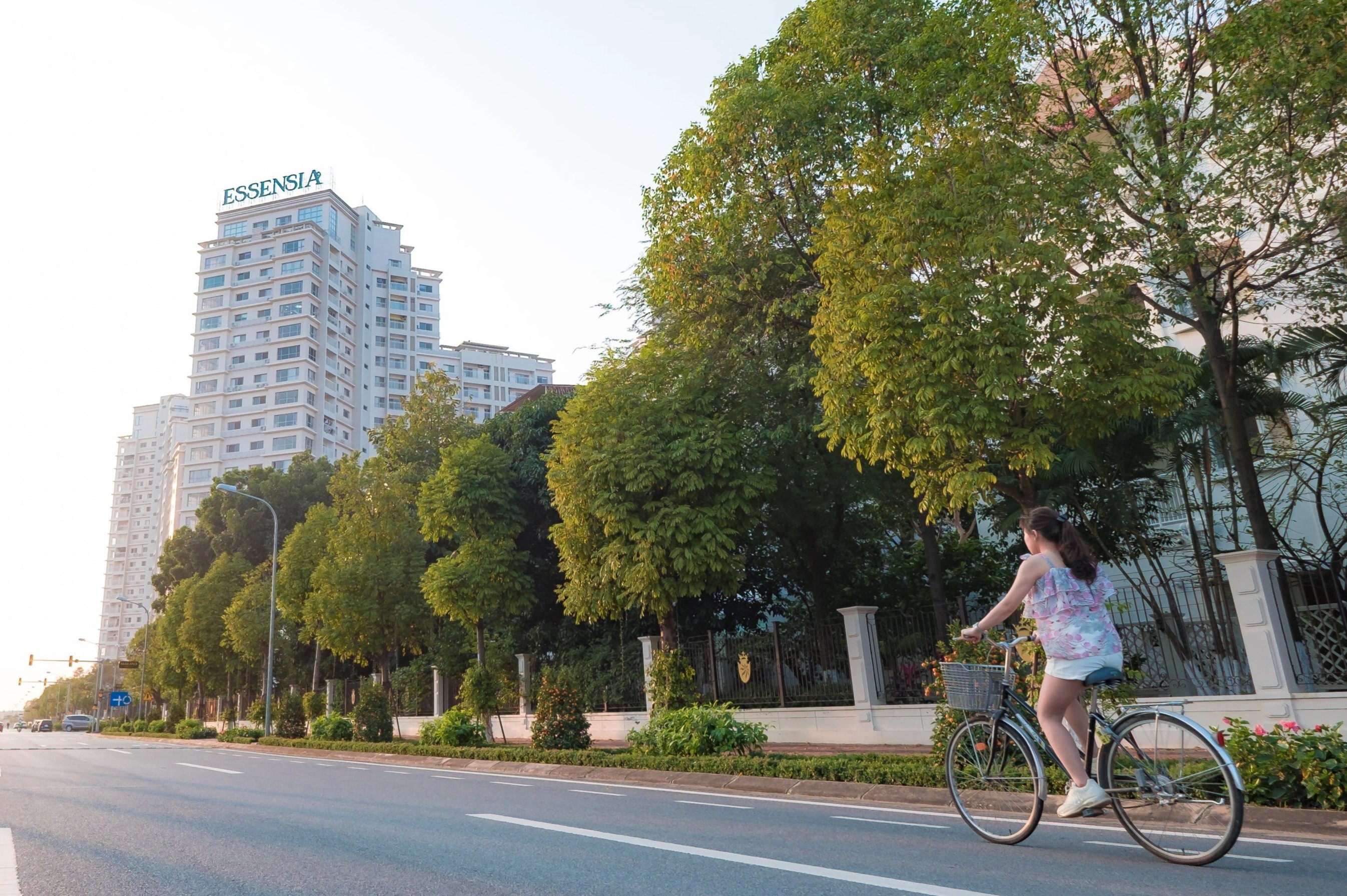 Essensia kien tao chuan muc song moi hinh anh