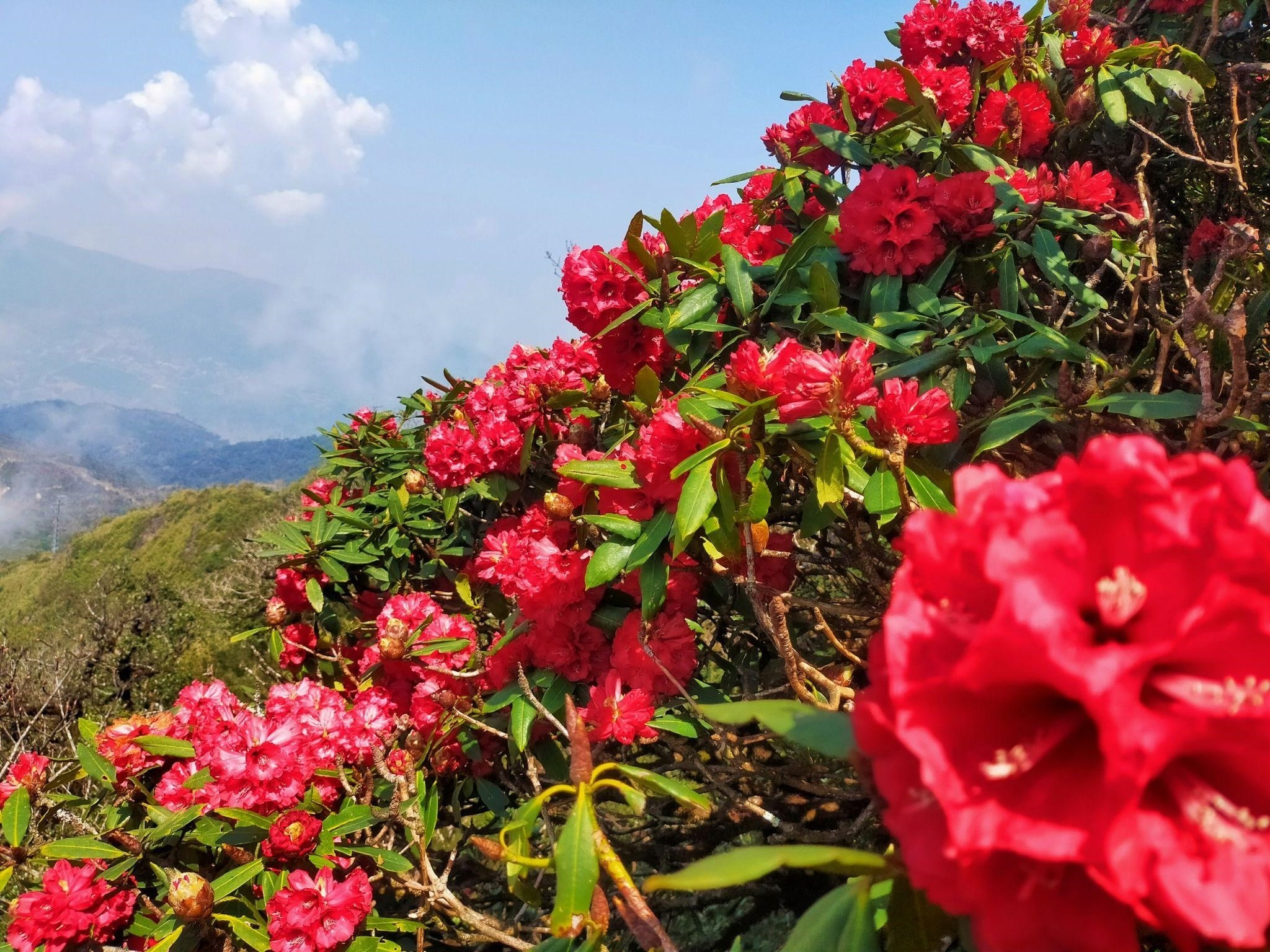 Du lich tay bac anh 1