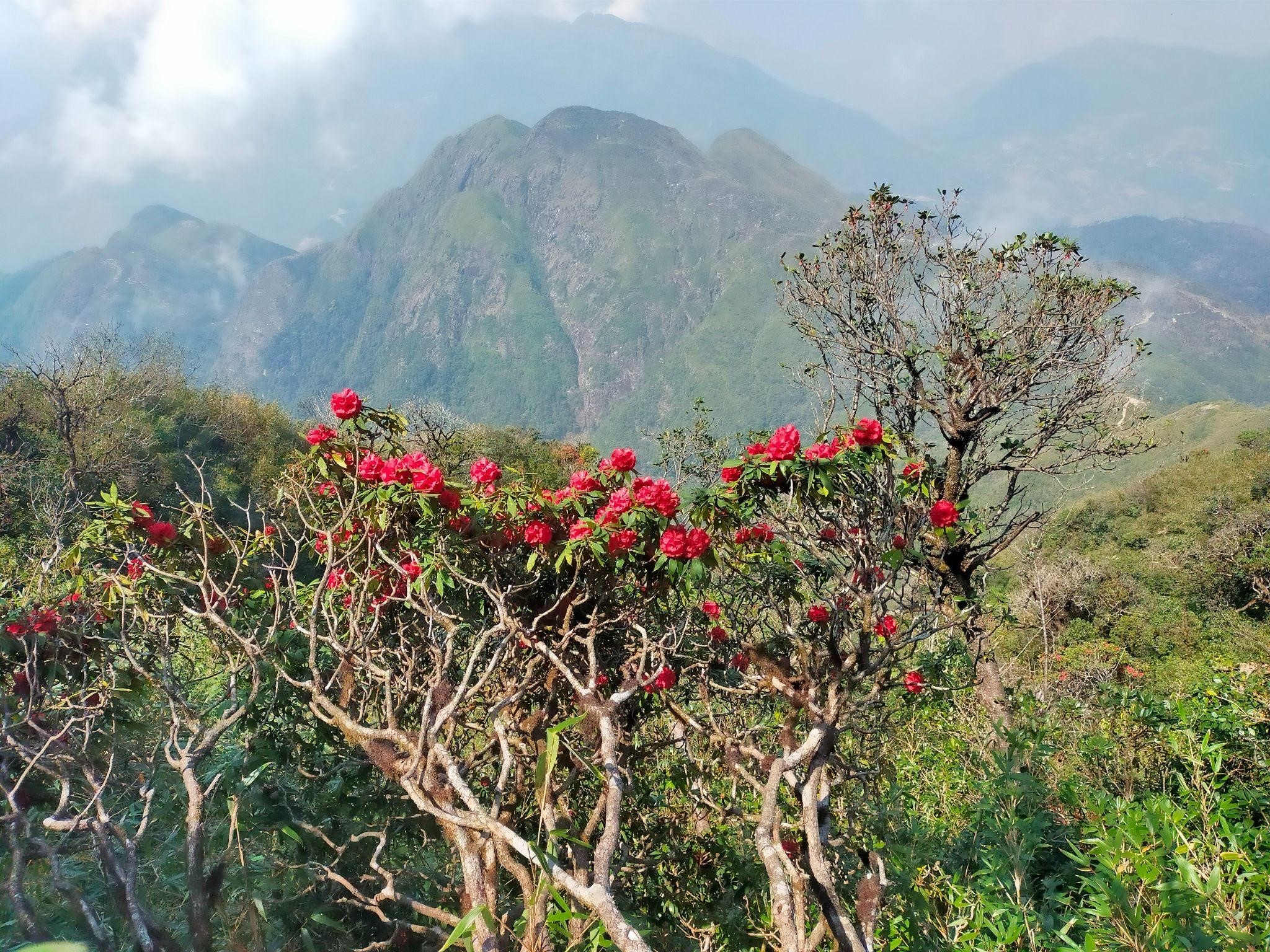 Du lich tay bac anh 2