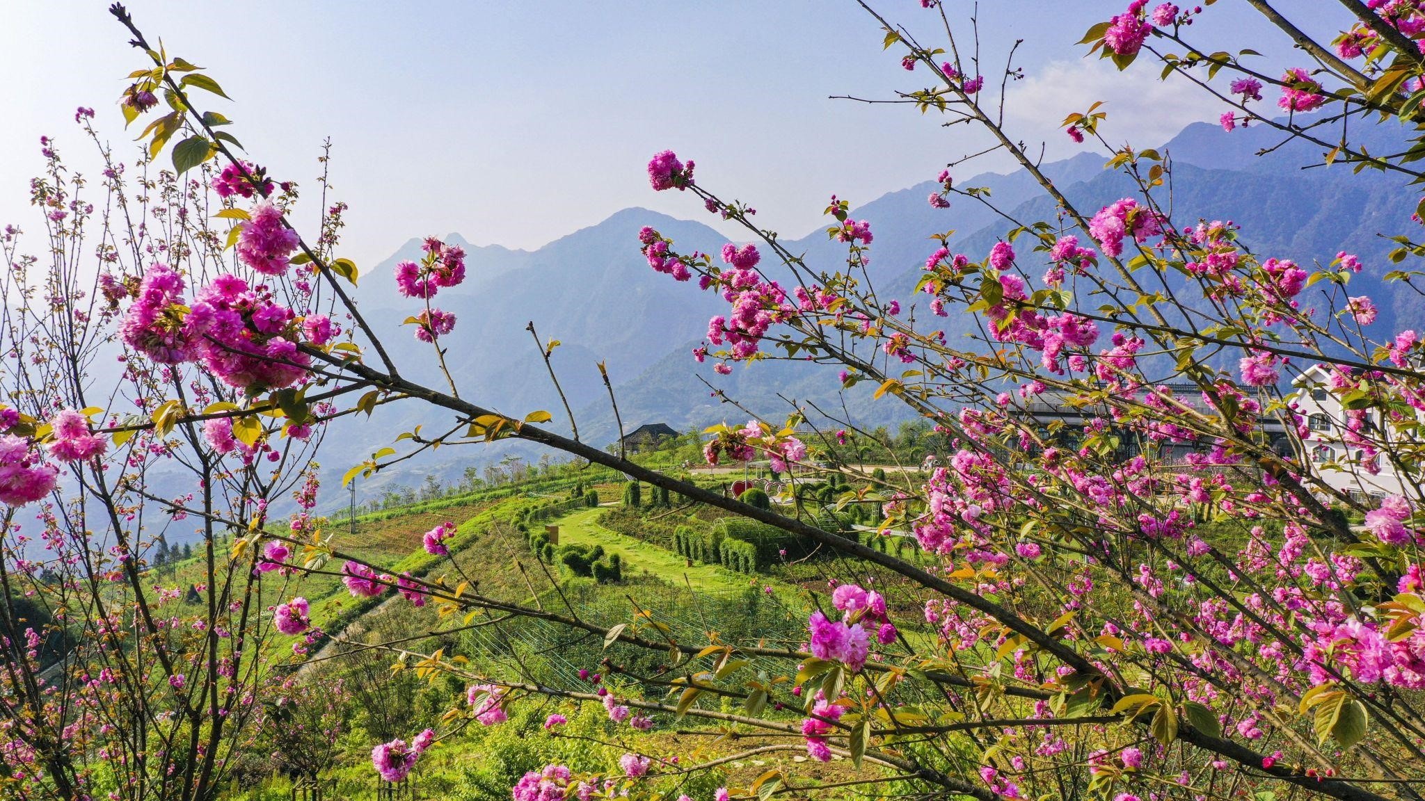 Du lich tay bac anh 6