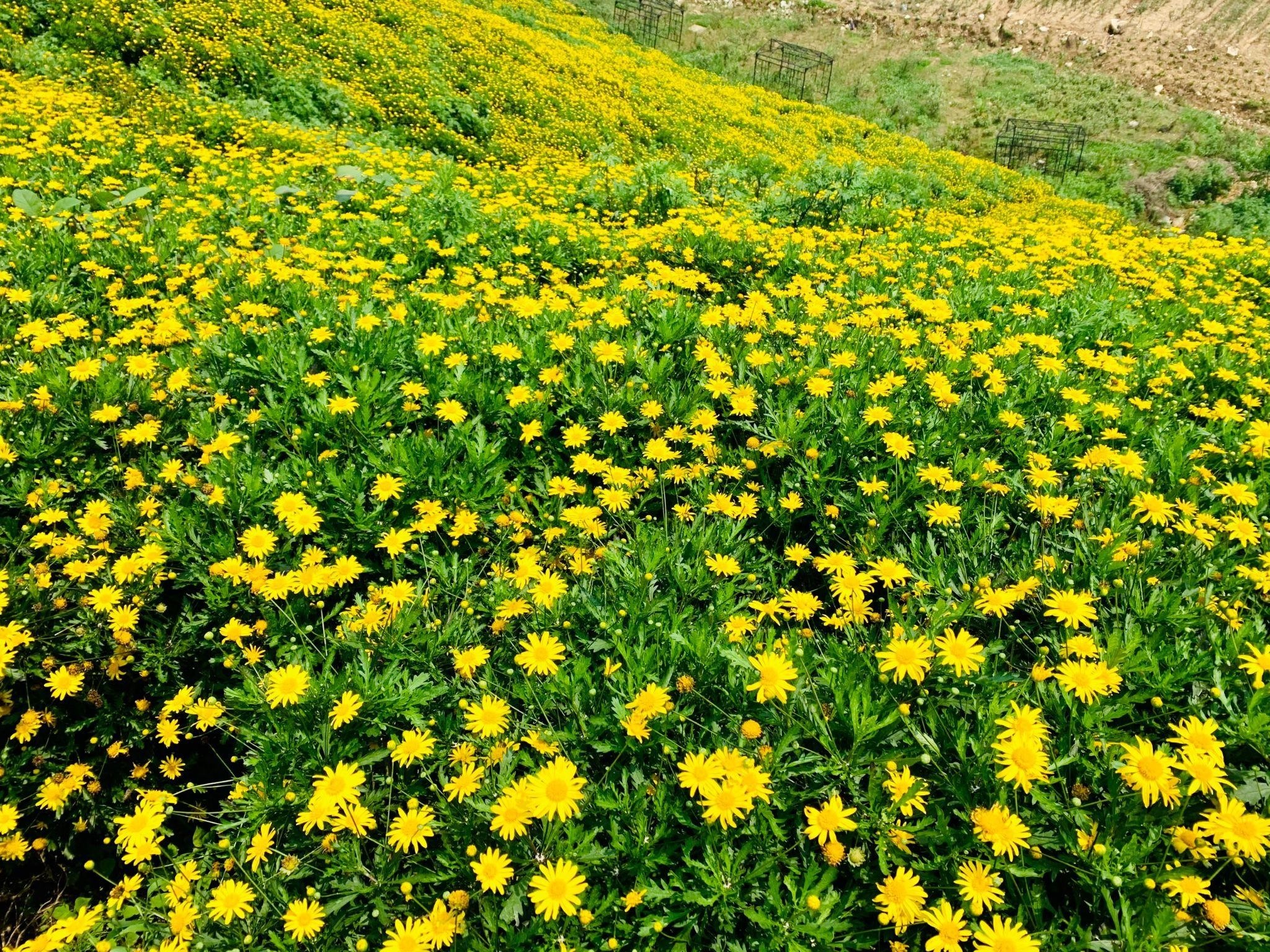 Du lich tay bac anh 8