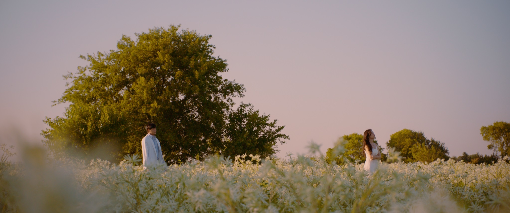 Qua ben lam chi anh 5