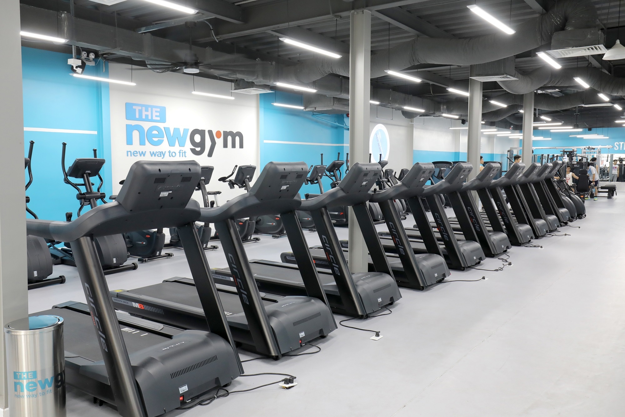 The New Gym anh 3