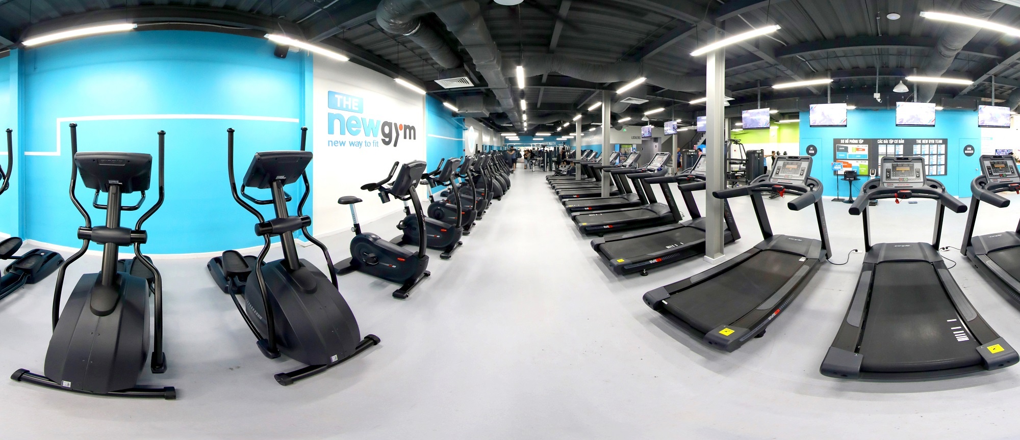 The New Gym anh 1
