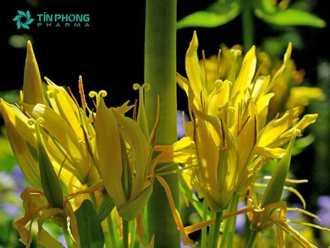 biếng ăn, giúp trẻ ngon miệng ảnh 3 bieng an, giup tre ngon mieng anh 3