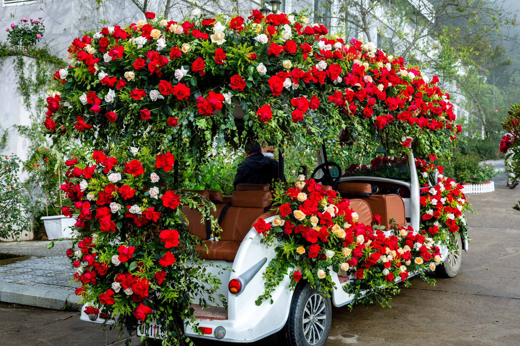 ‘Xu so hoa hong trong may’ ruc ro tai Sa Pa hinh anh