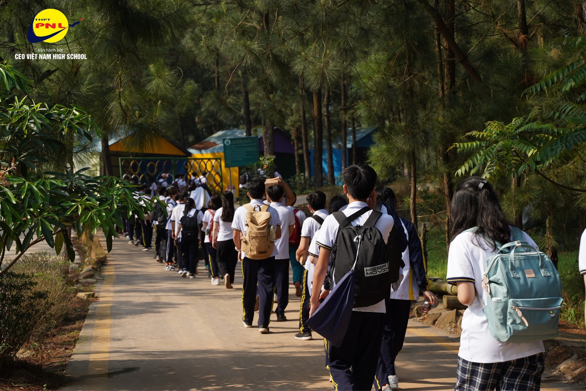 CEO Highschool ảnh 2 CEO Highschool anh 2