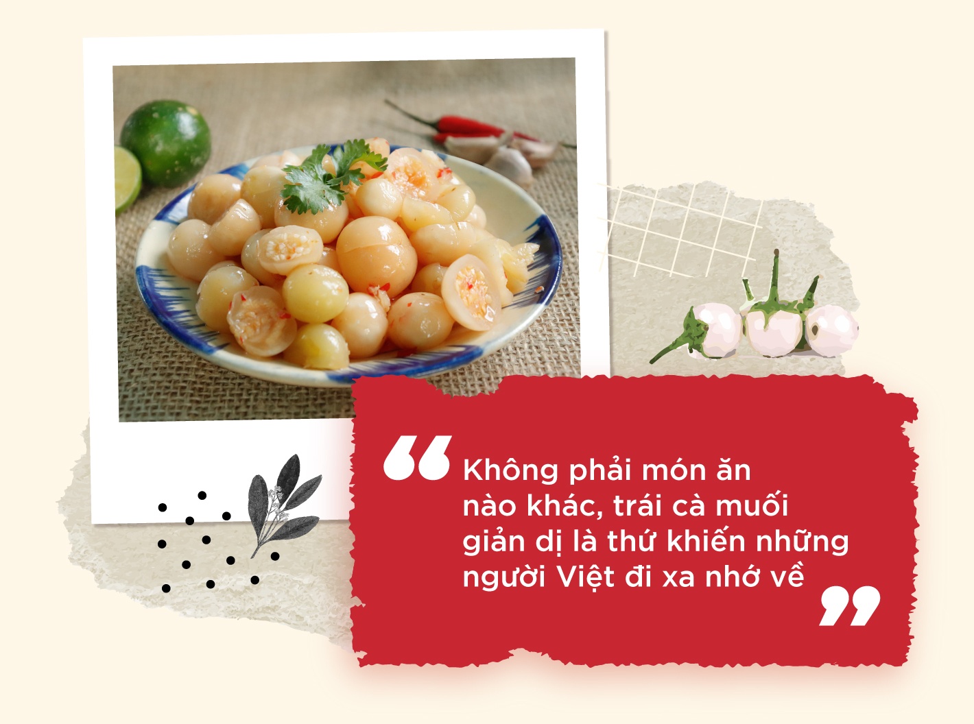 Song Huong Foods anh 1