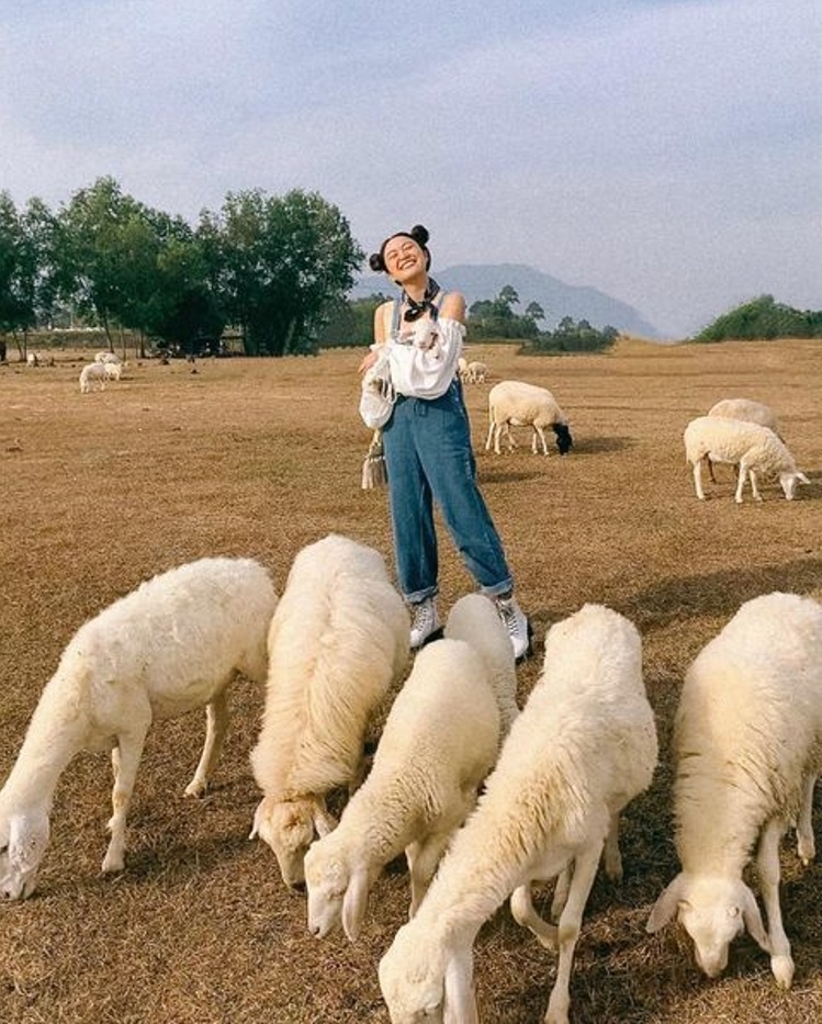 Novaland ảnh 5 Novaland anh 5