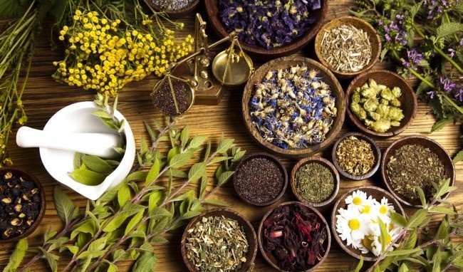 Bo doi tra thao moc tinh chat hoa hoe va tra dao TVT hinh anh