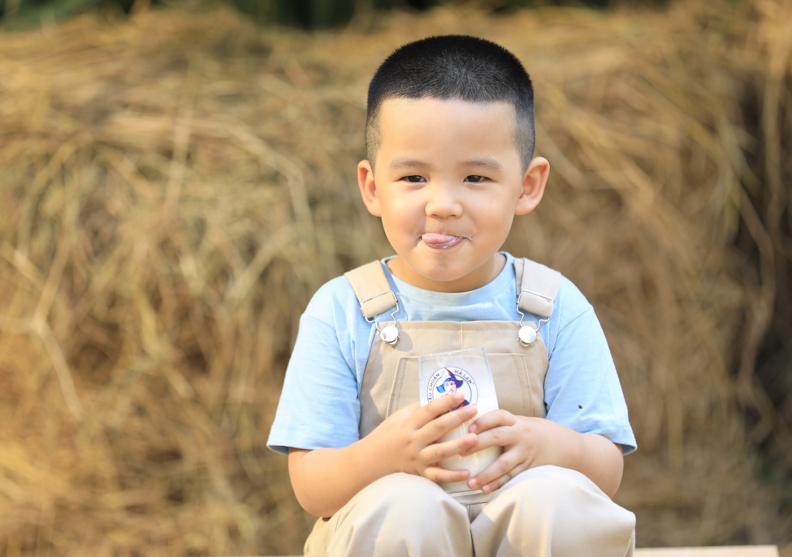 Giai ma hanh trinh 'tu dong co den ly sua' cua Co Gai Ha Lan hinh anh